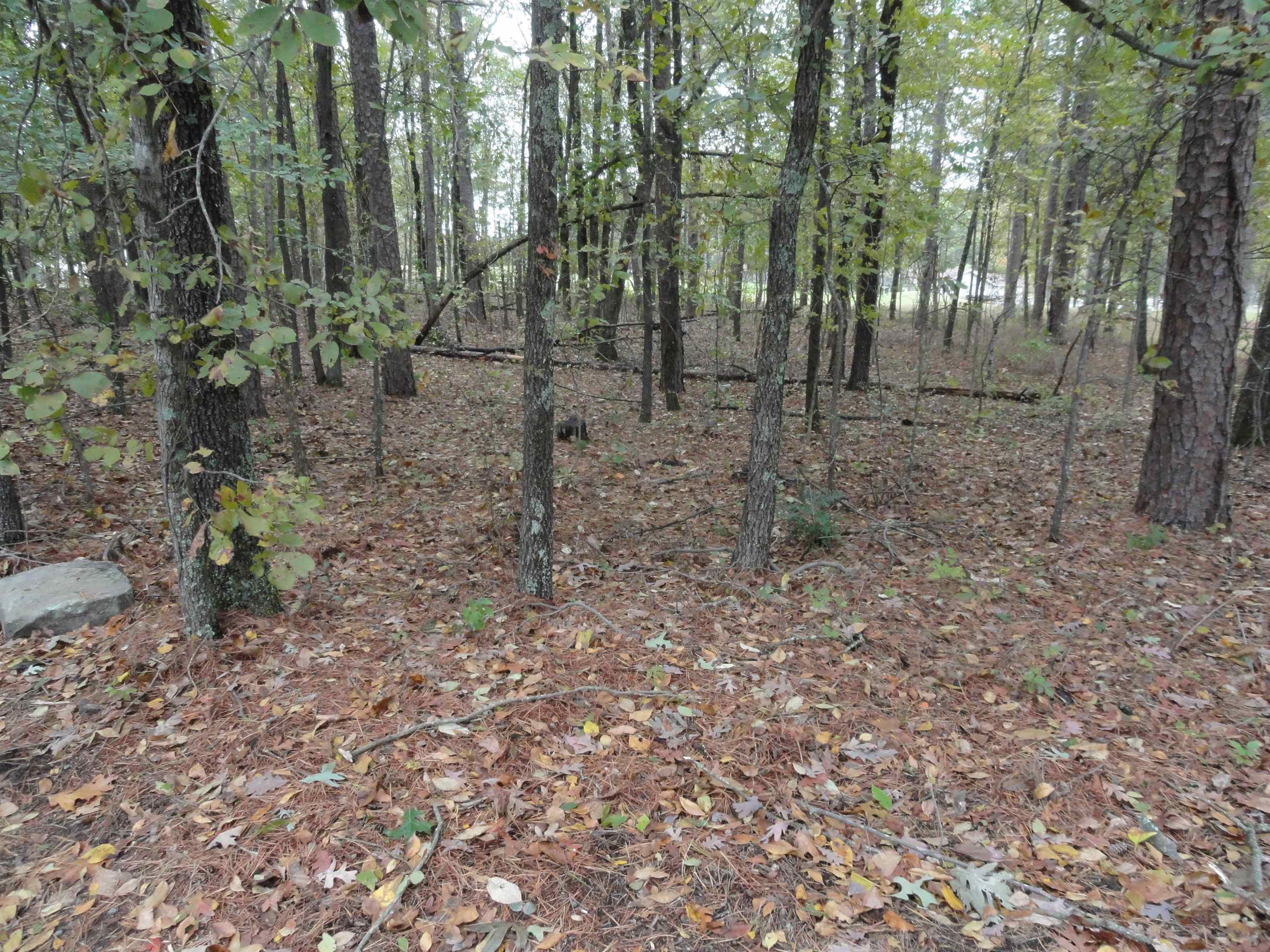 238 Snead Drive Property Photo 5