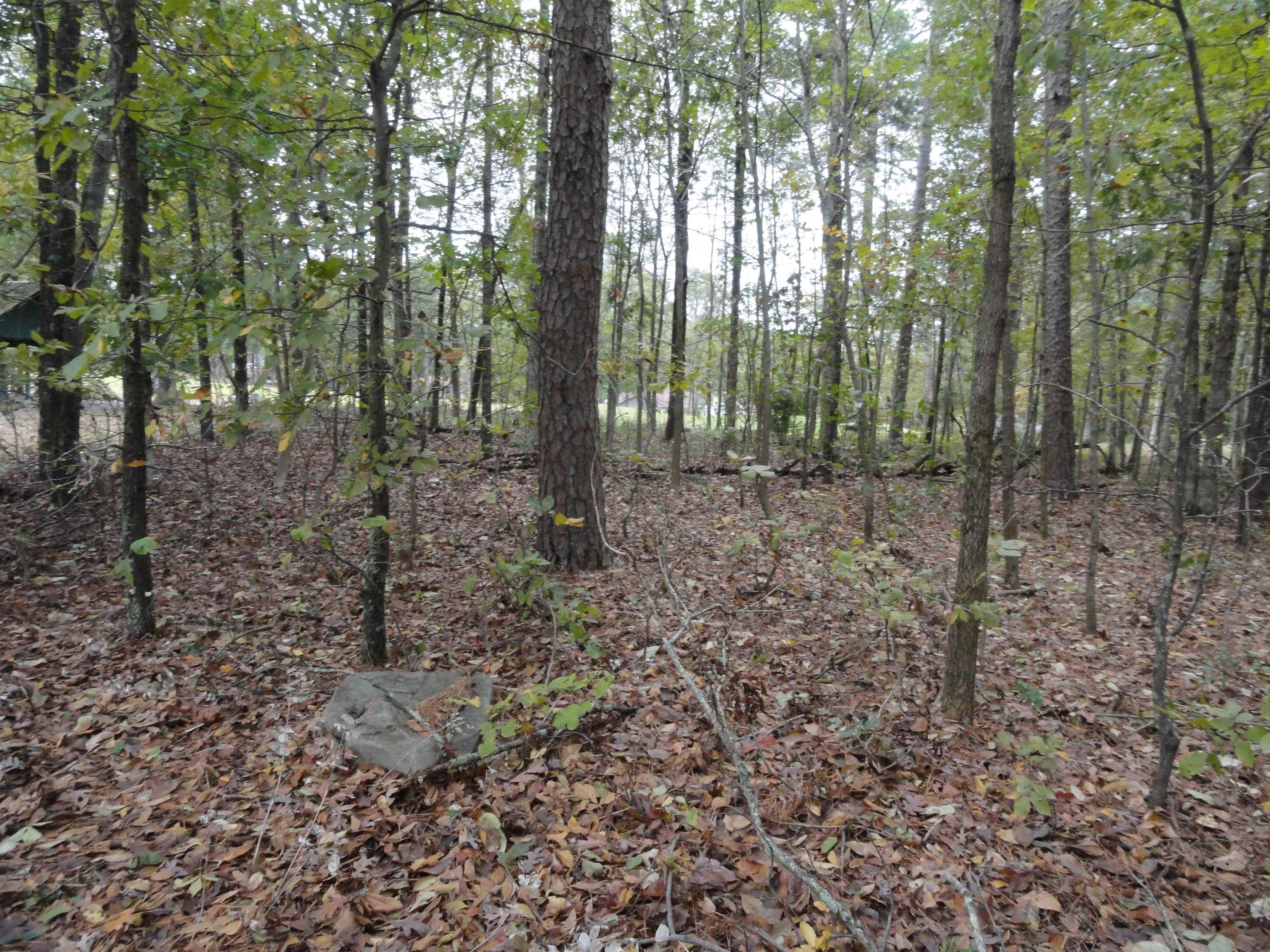 238 Snead Drive Property Photo 7