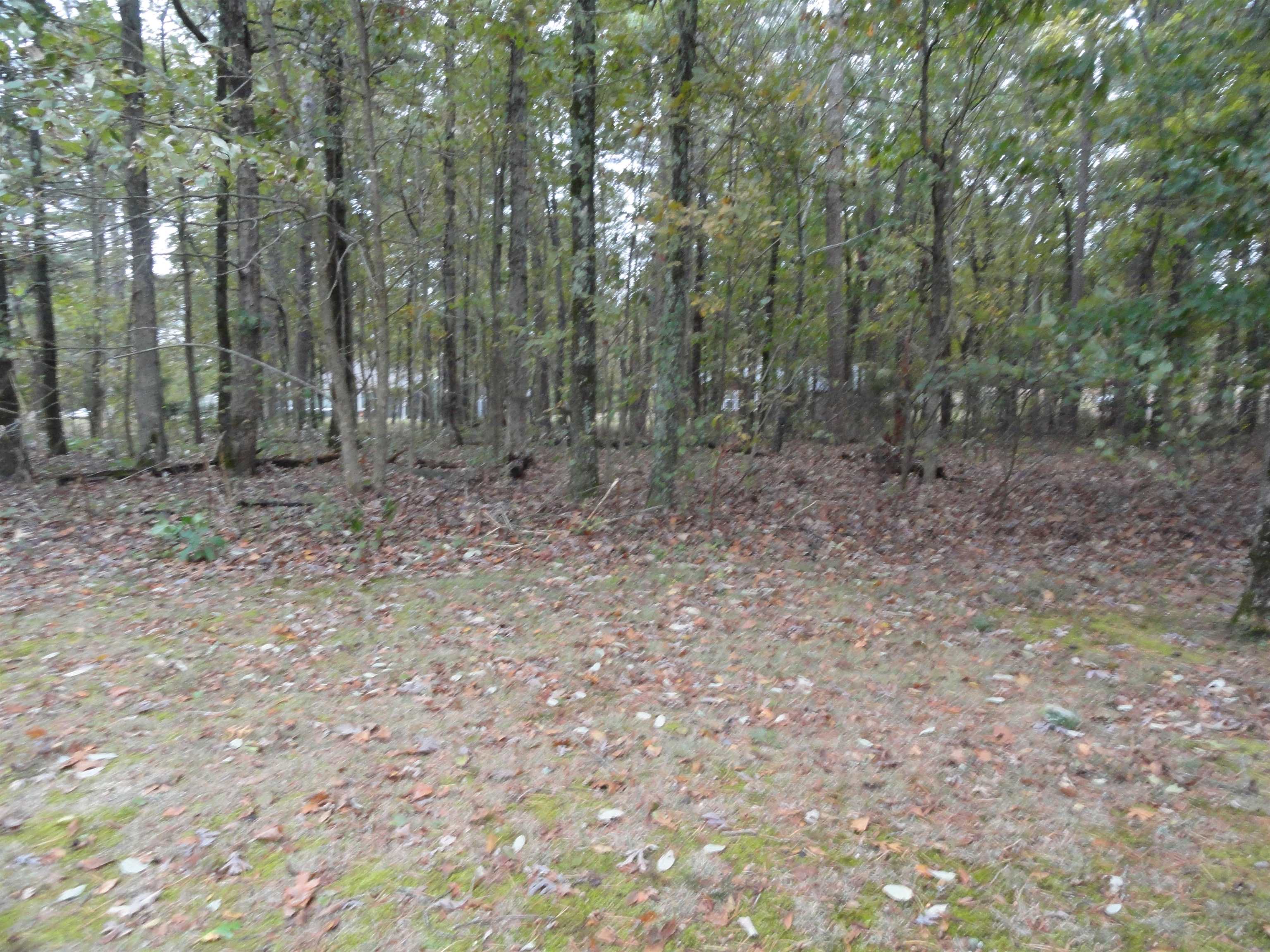 238 Snead Drive Property Photo 8