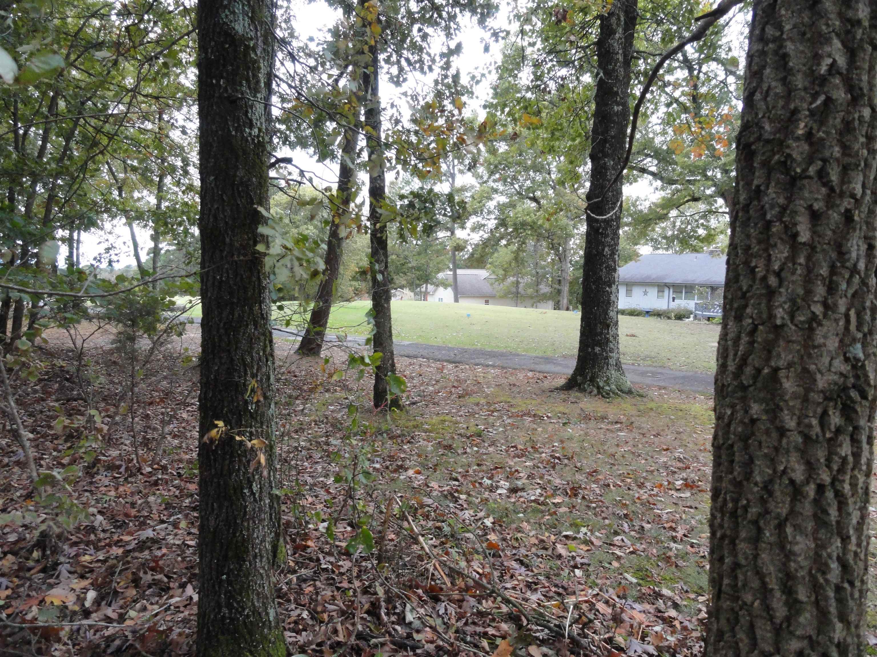 238 Snead Drive Property Photo 10