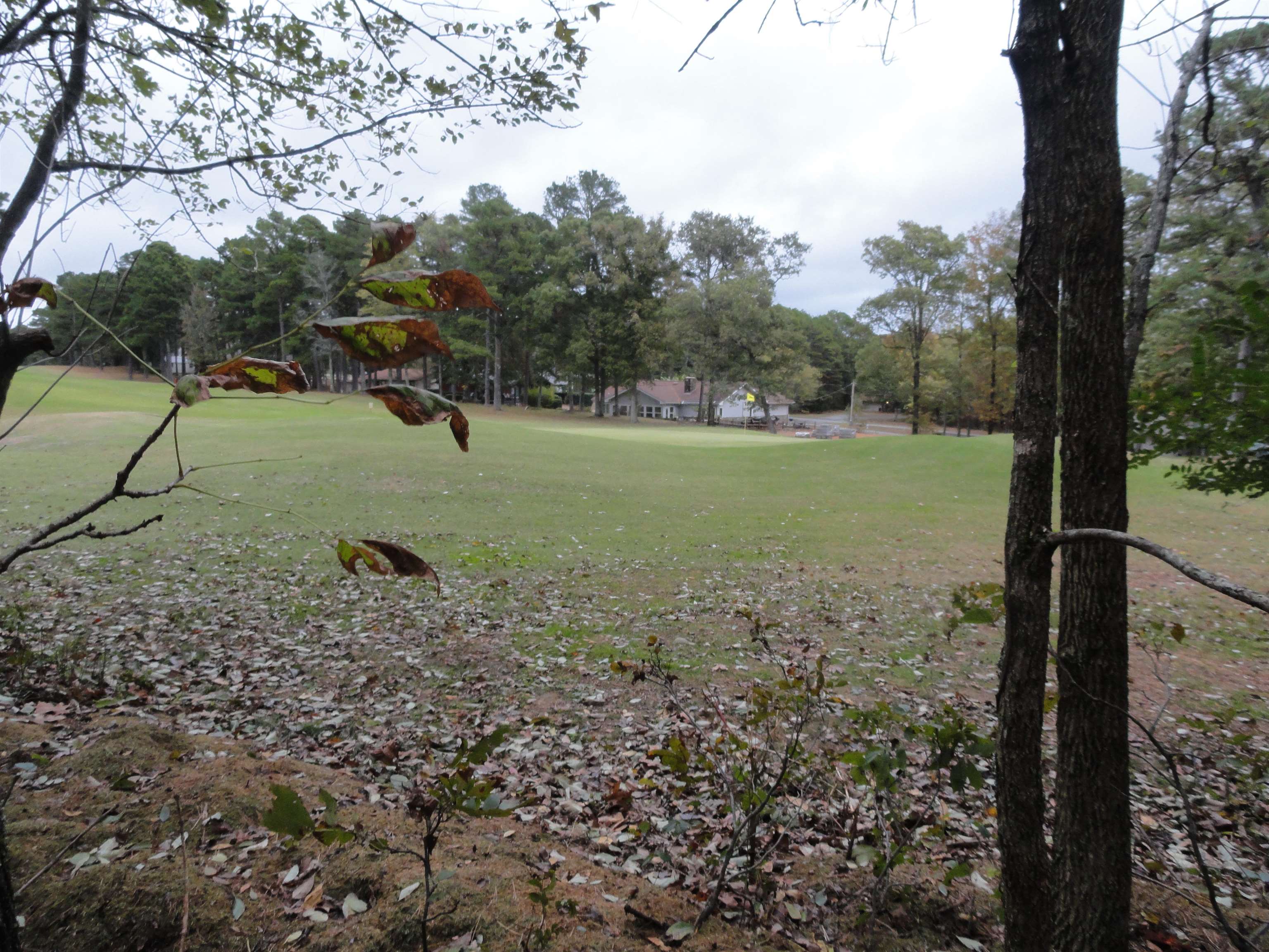 238 Snead Drive Property Photo 13