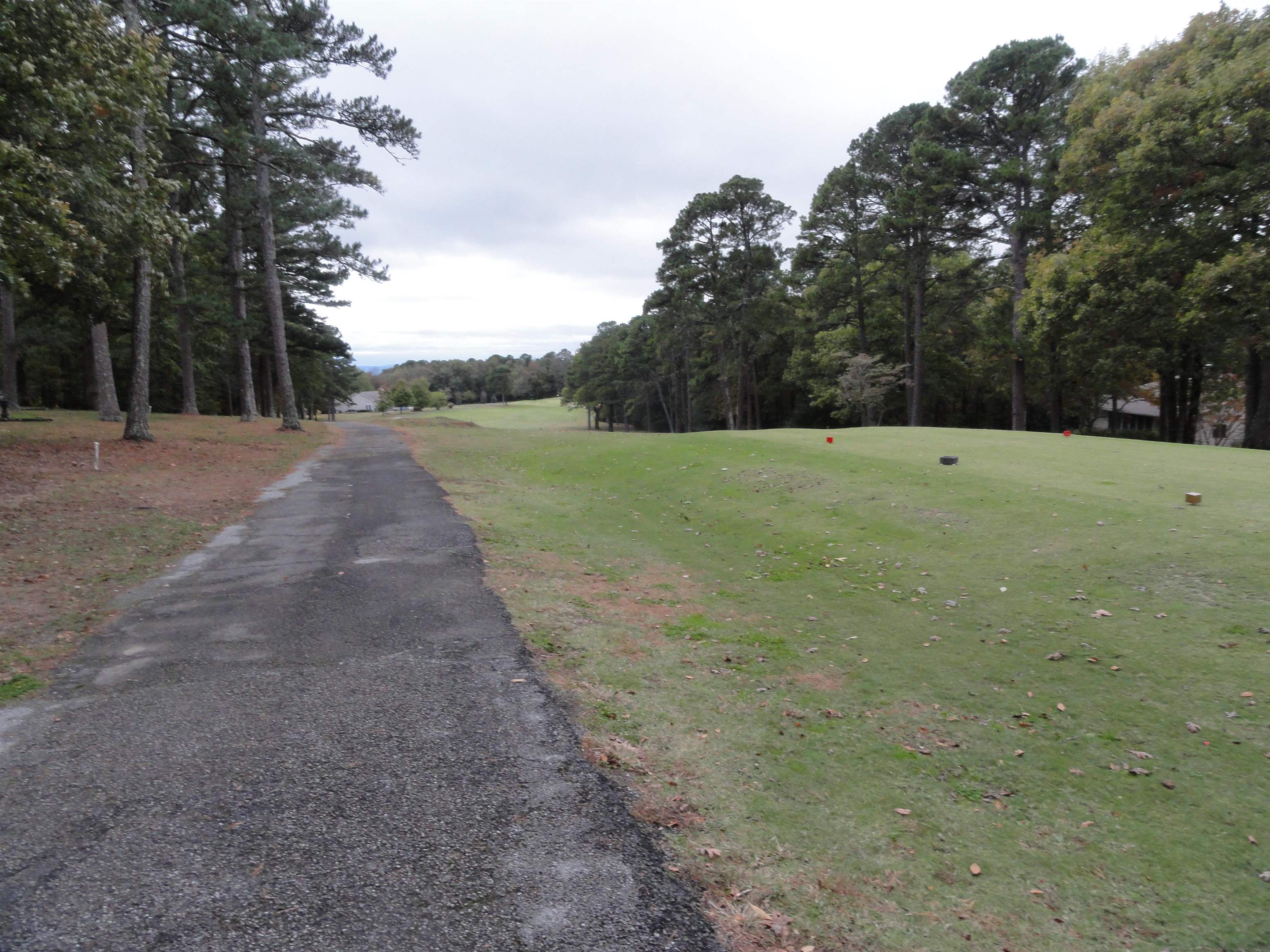238 Snead Drive Property Photo 18