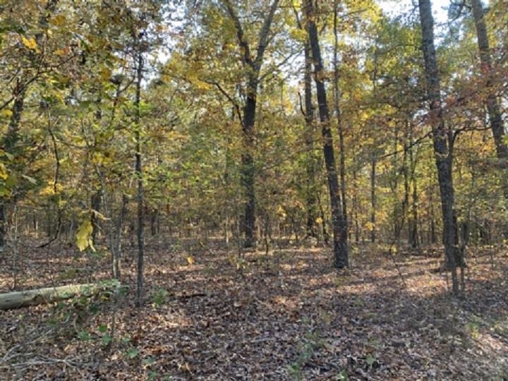 02 Ar 223 Highway Property Photo 1