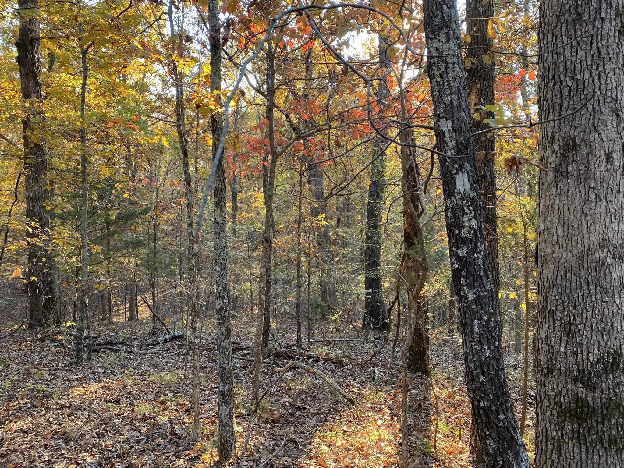 02 Ar 223 Highway Property Photo 2