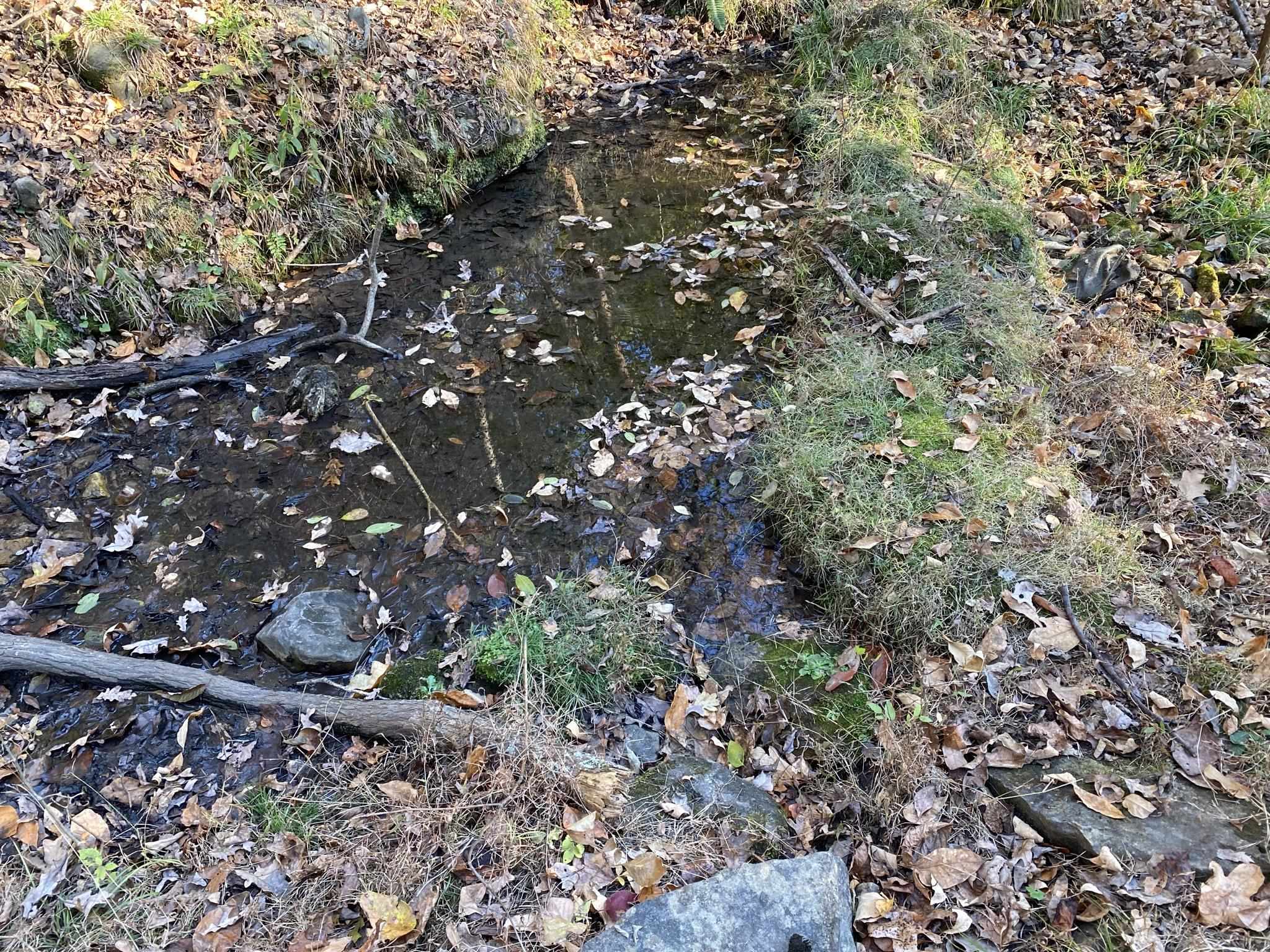02 Ar 223 Highway Property Photo 3