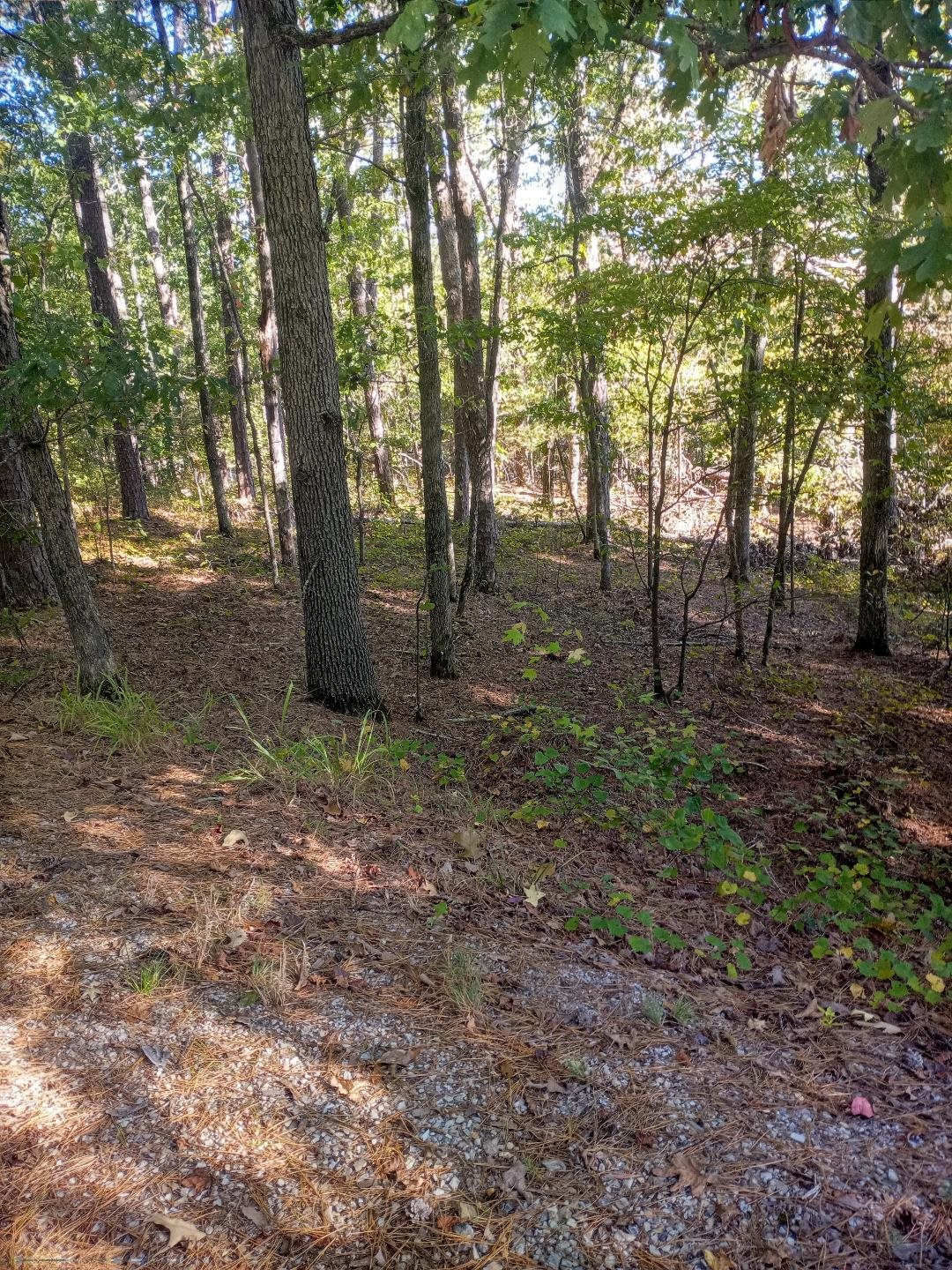 0 Entereza Pl Property Photo