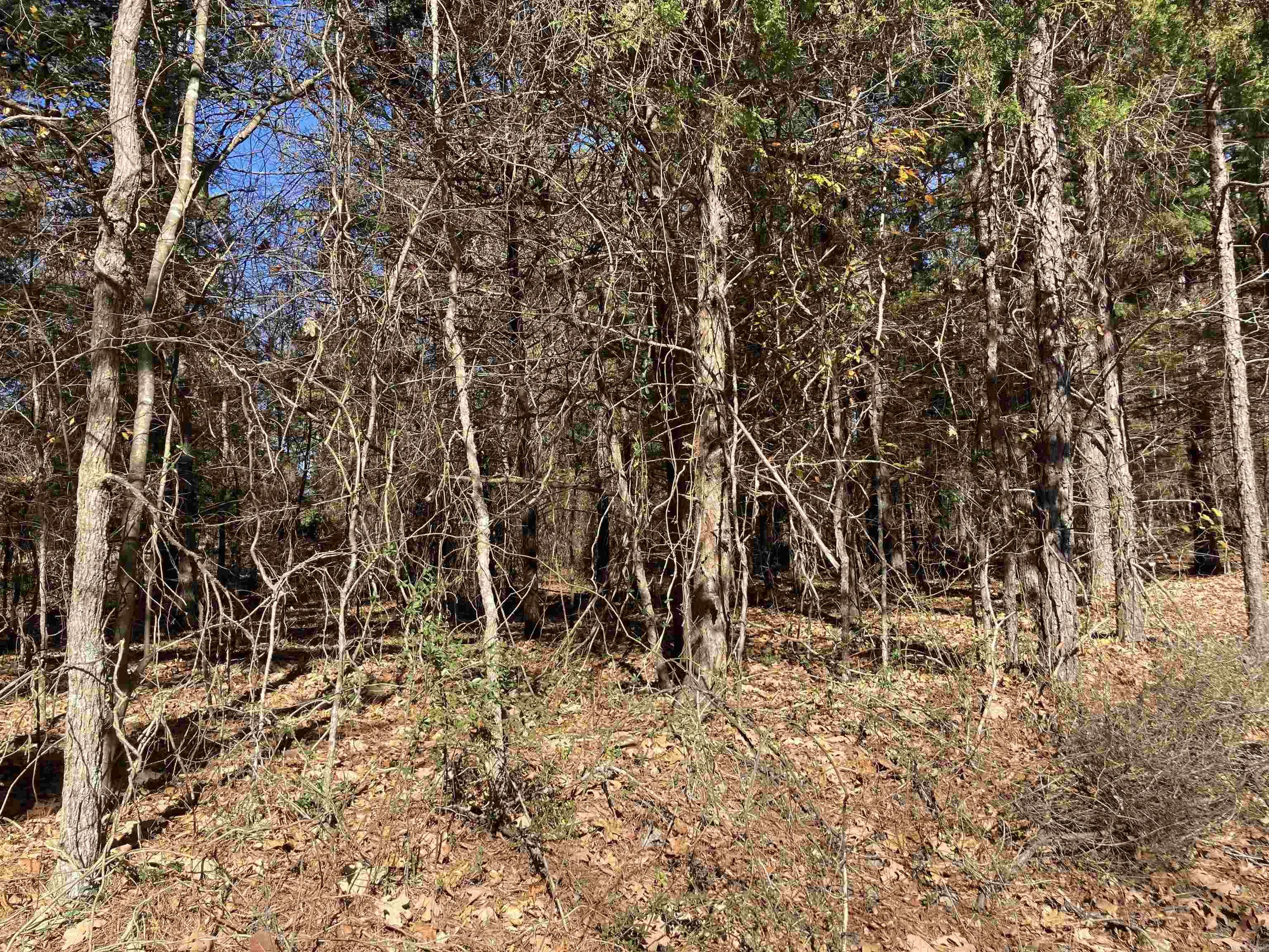 00 Edgemere Loop Property Photo 7
