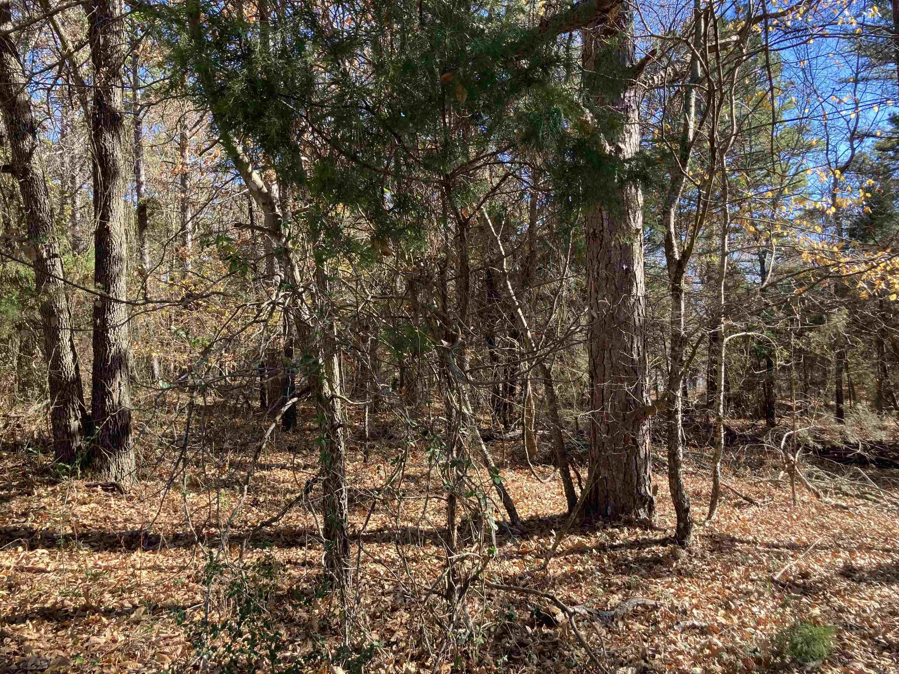 00 Edgemere Loop Property Photo 8