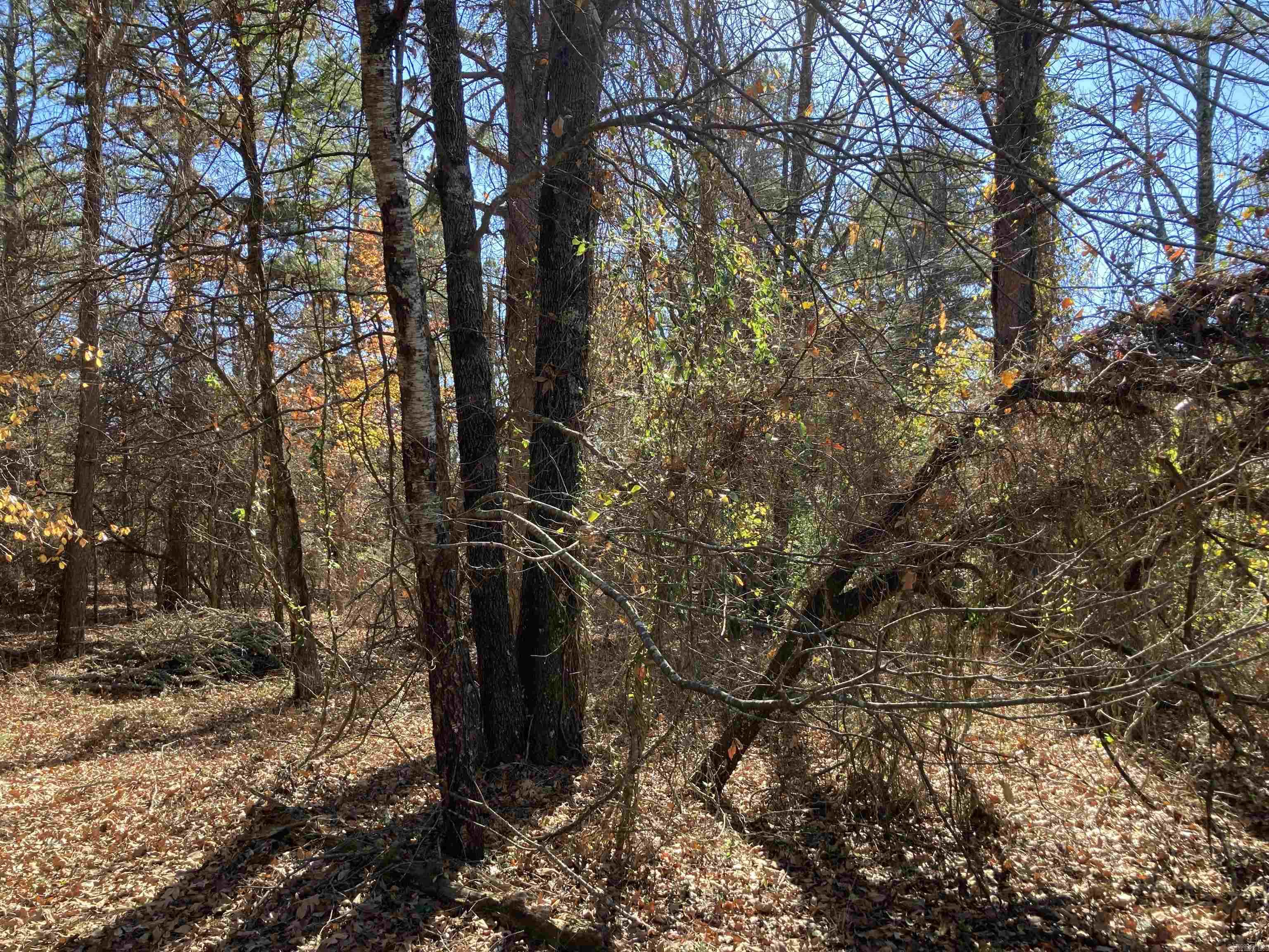 00 Edgemere Loop Property Photo 9