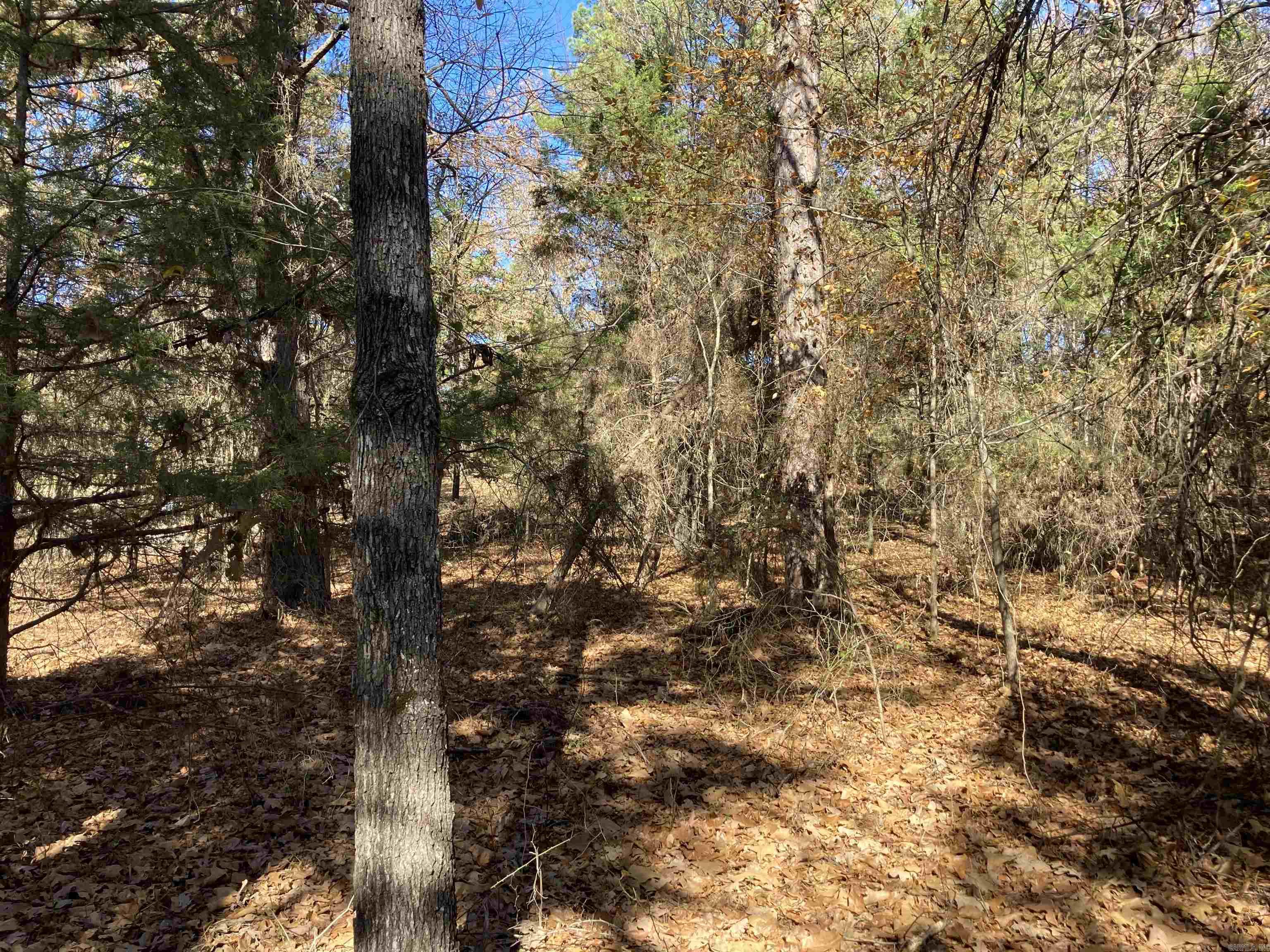 00 Edgemere Loop Property Photo 10