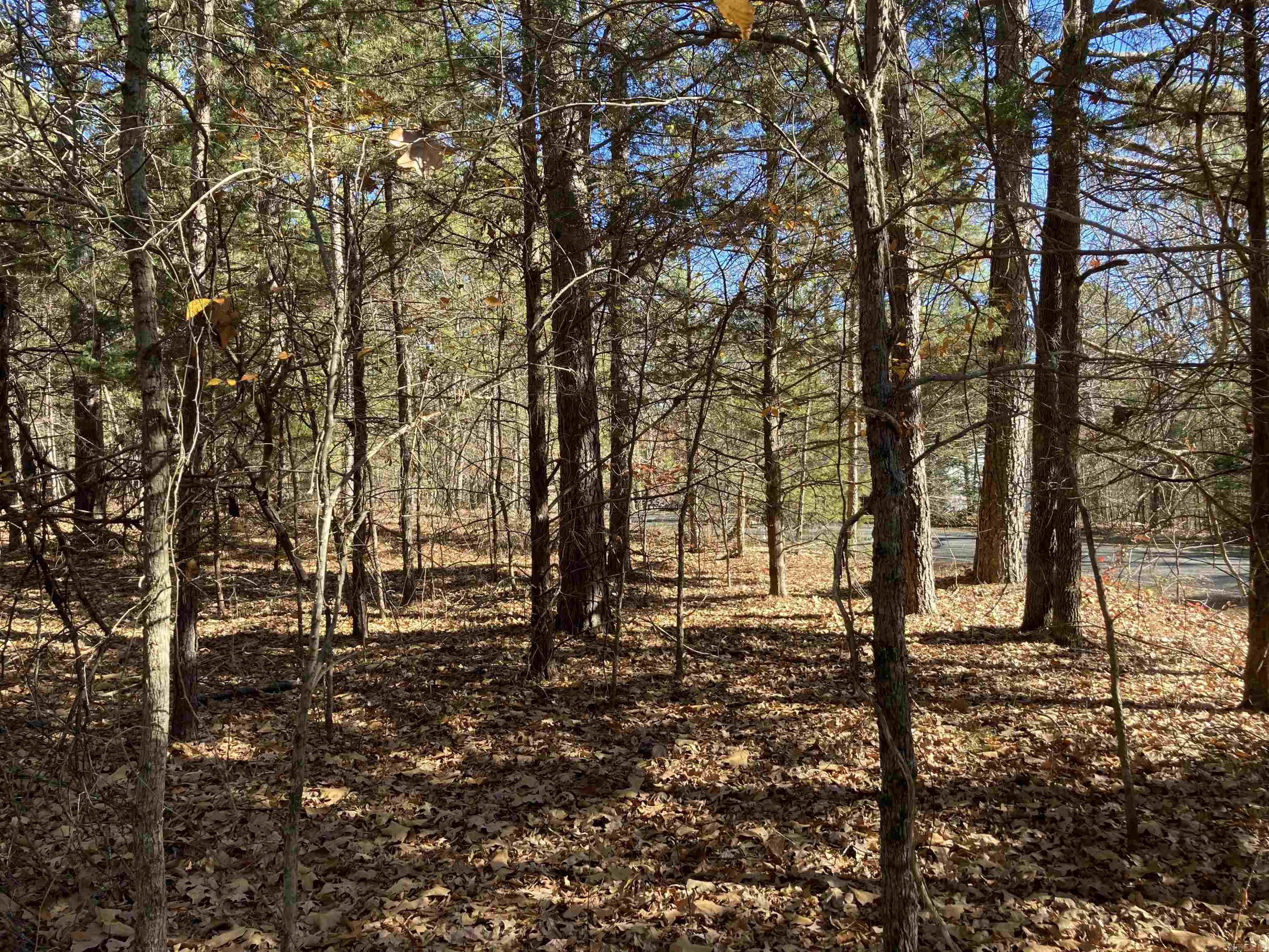 00 Edgemere Loop Property Photo 11