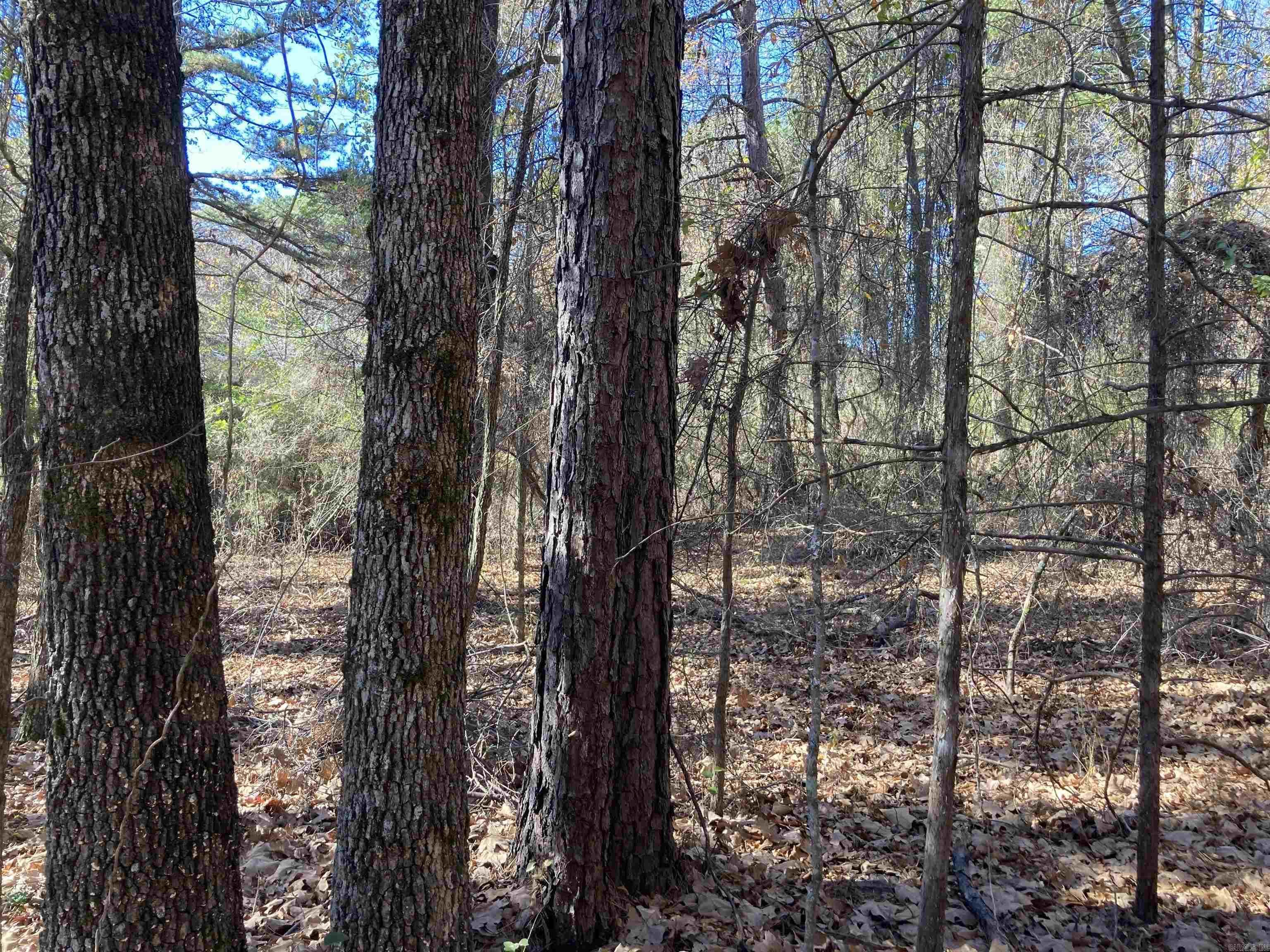 00 Edgemere Loop Property Photo 13