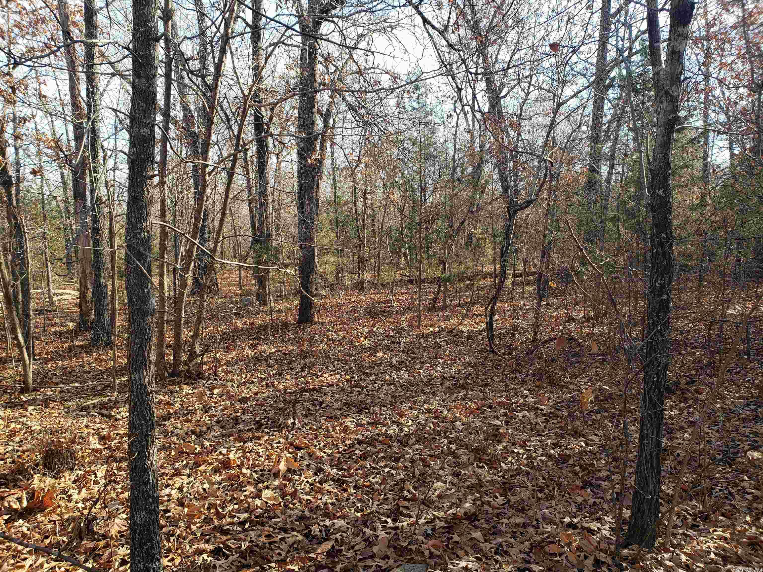 L-22 & 23, B-9 Poteau Trace Property Photo 1