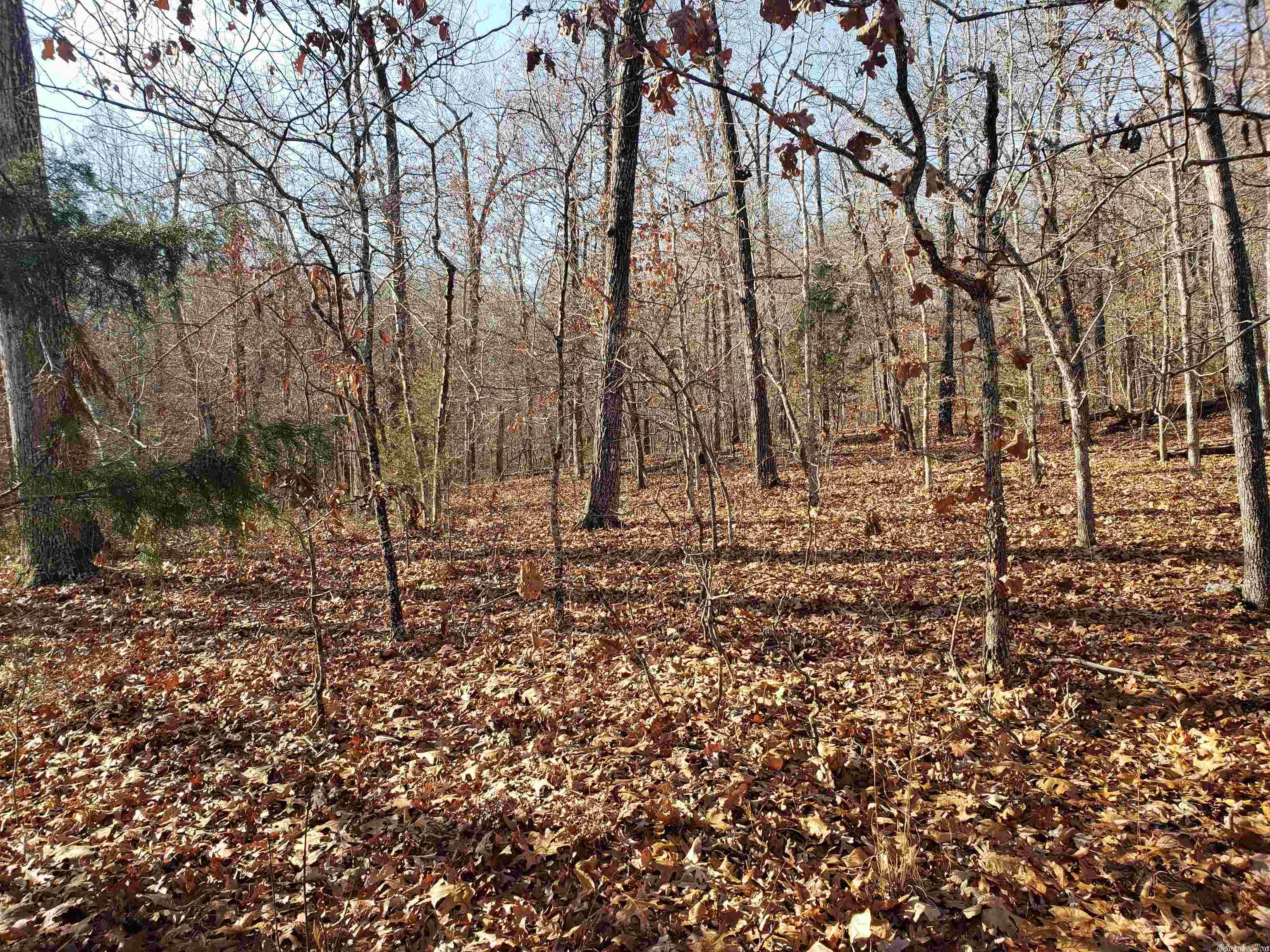 L-61 & 62, B-7 Quenemo Trail Property Photo 1