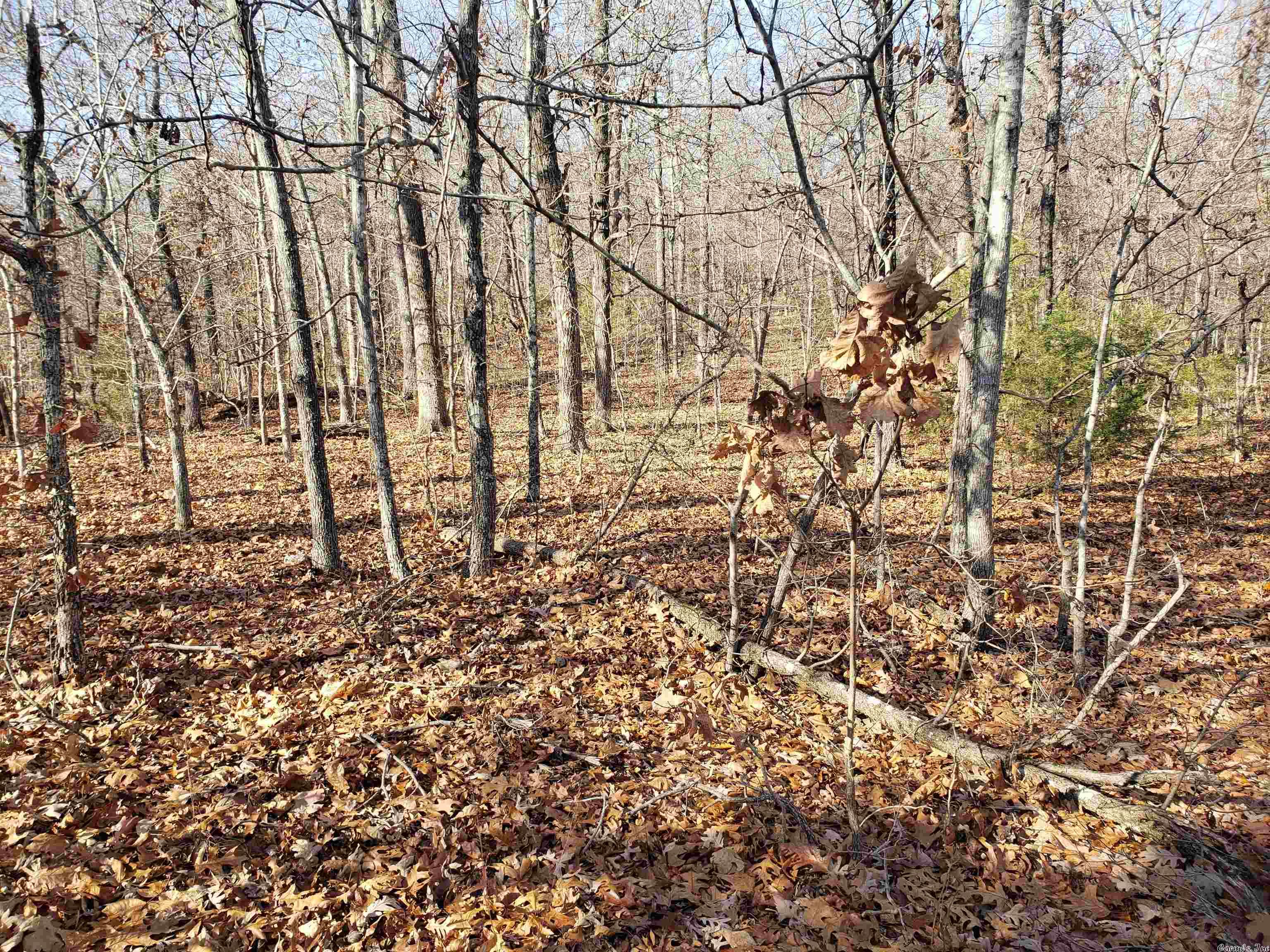 L-61 & 62, B-7 Quenemo Trail Property Photo 2