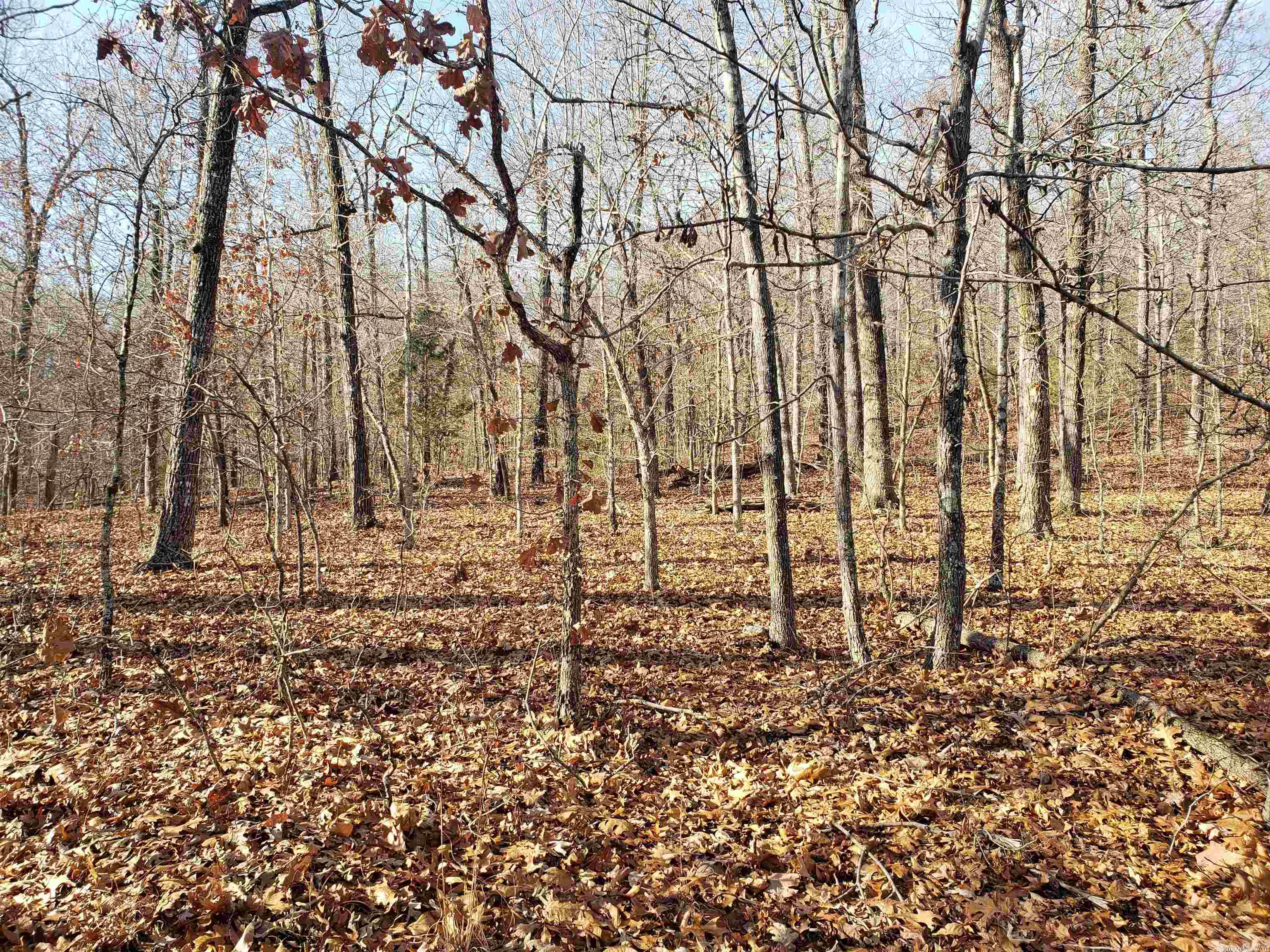 L-61 & 62, B-7 Quenemo Trail Property Photo 3