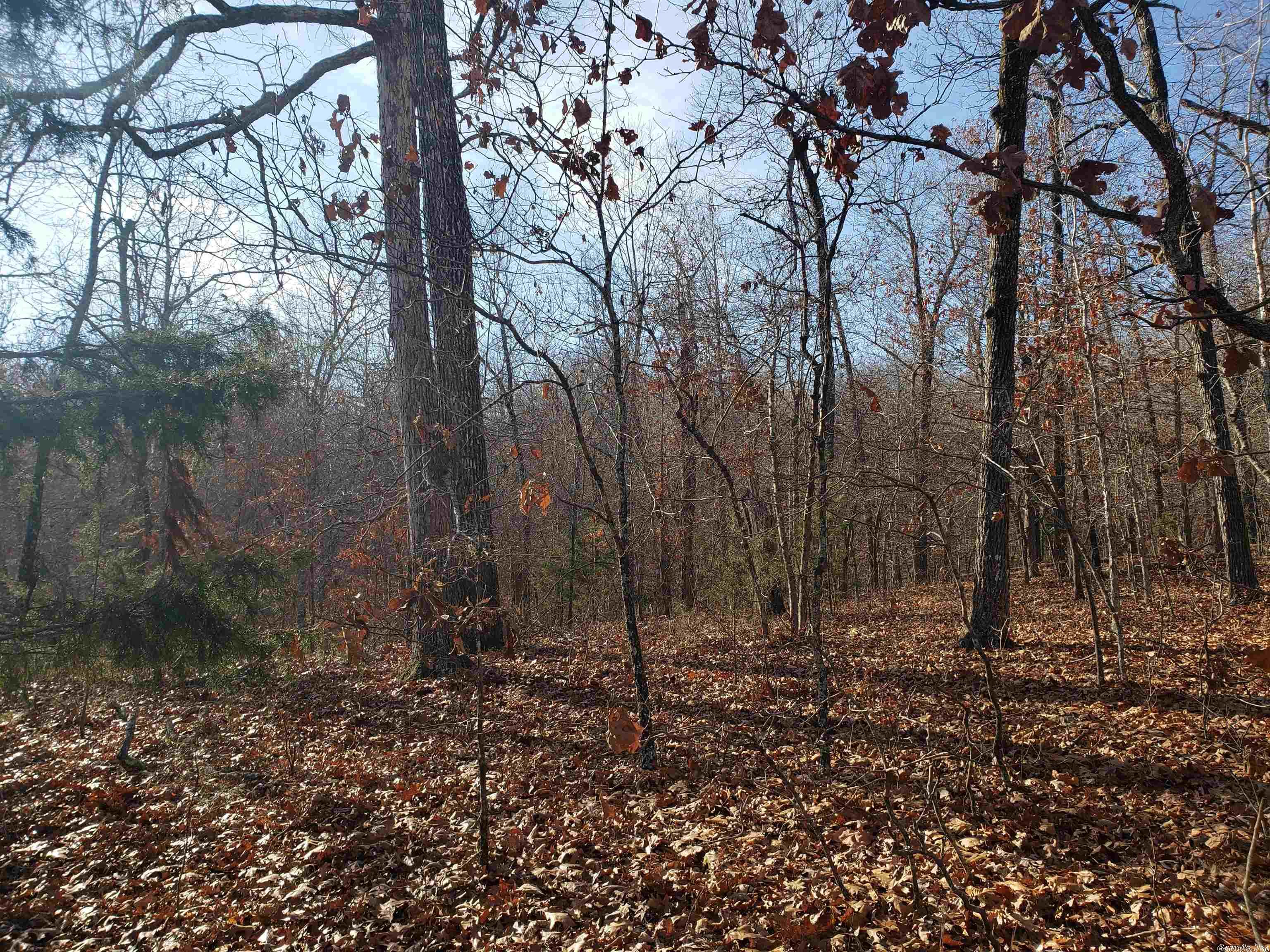 L-61 & 62, B-7 Quenemo Trail Property Photo 5
