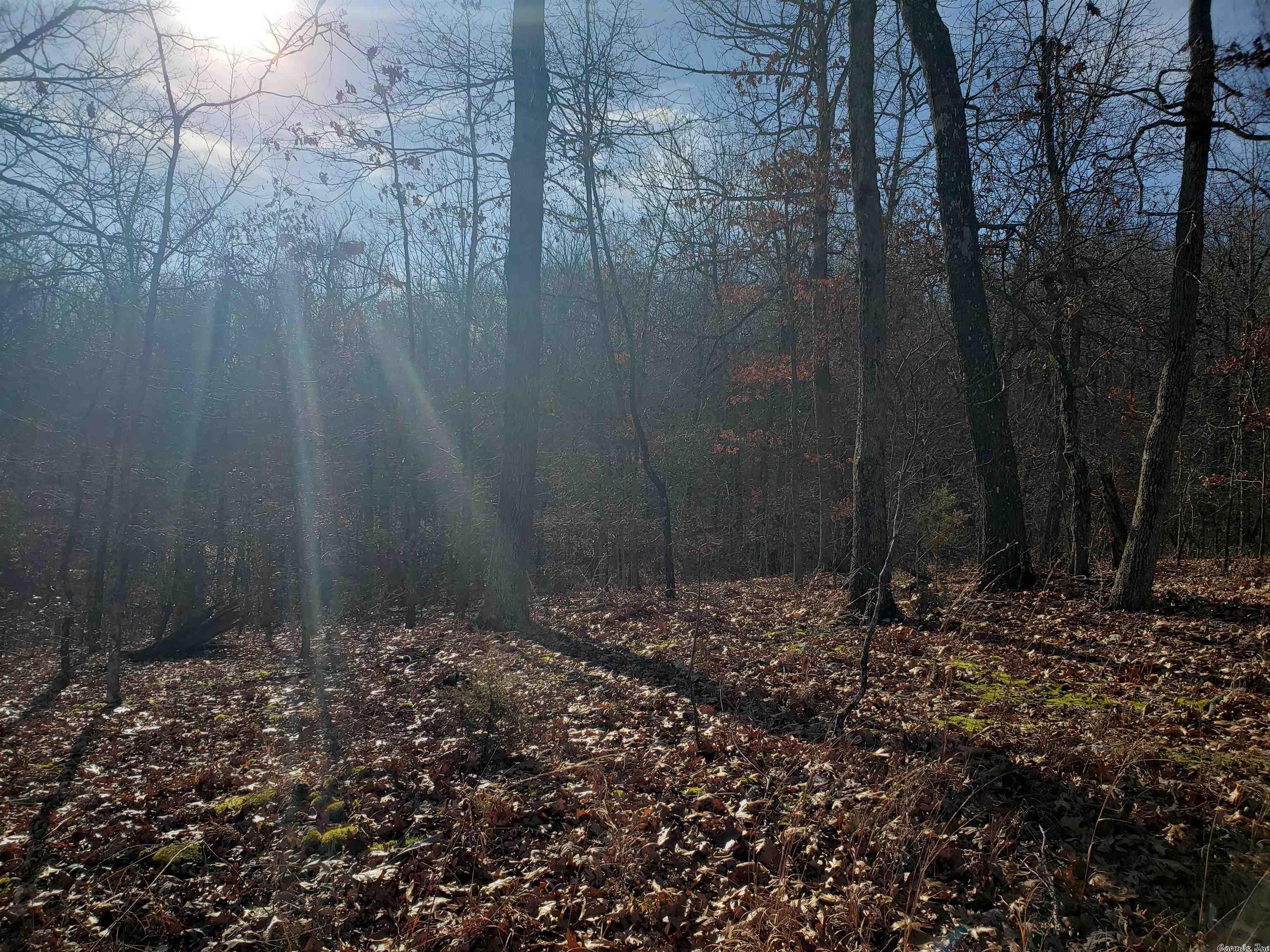 L-61 & 62, B-7 Quenemo Trail Property Photo 6