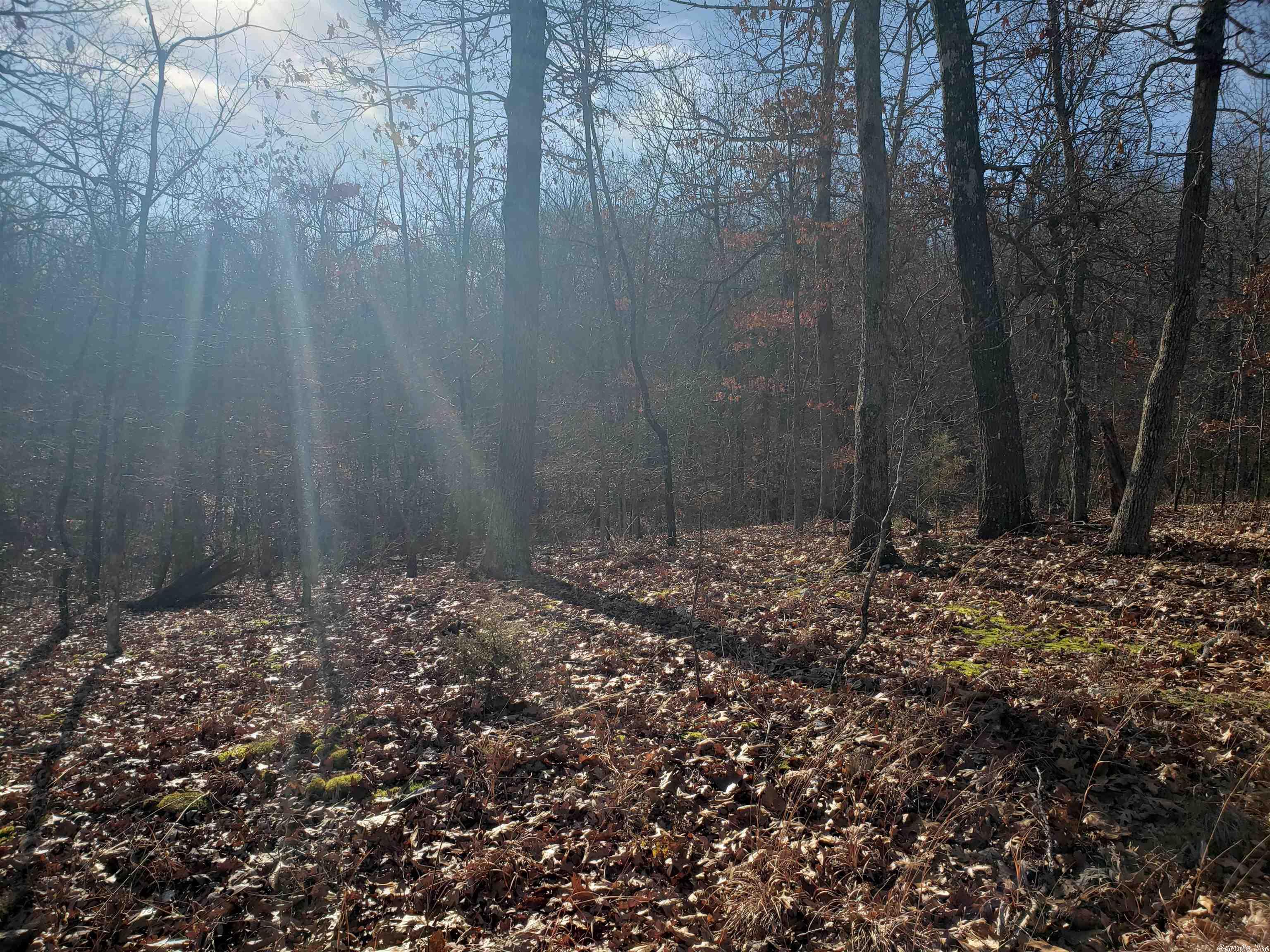 L-61 & 62, B-7 Quenemo Trail Property Photo 7