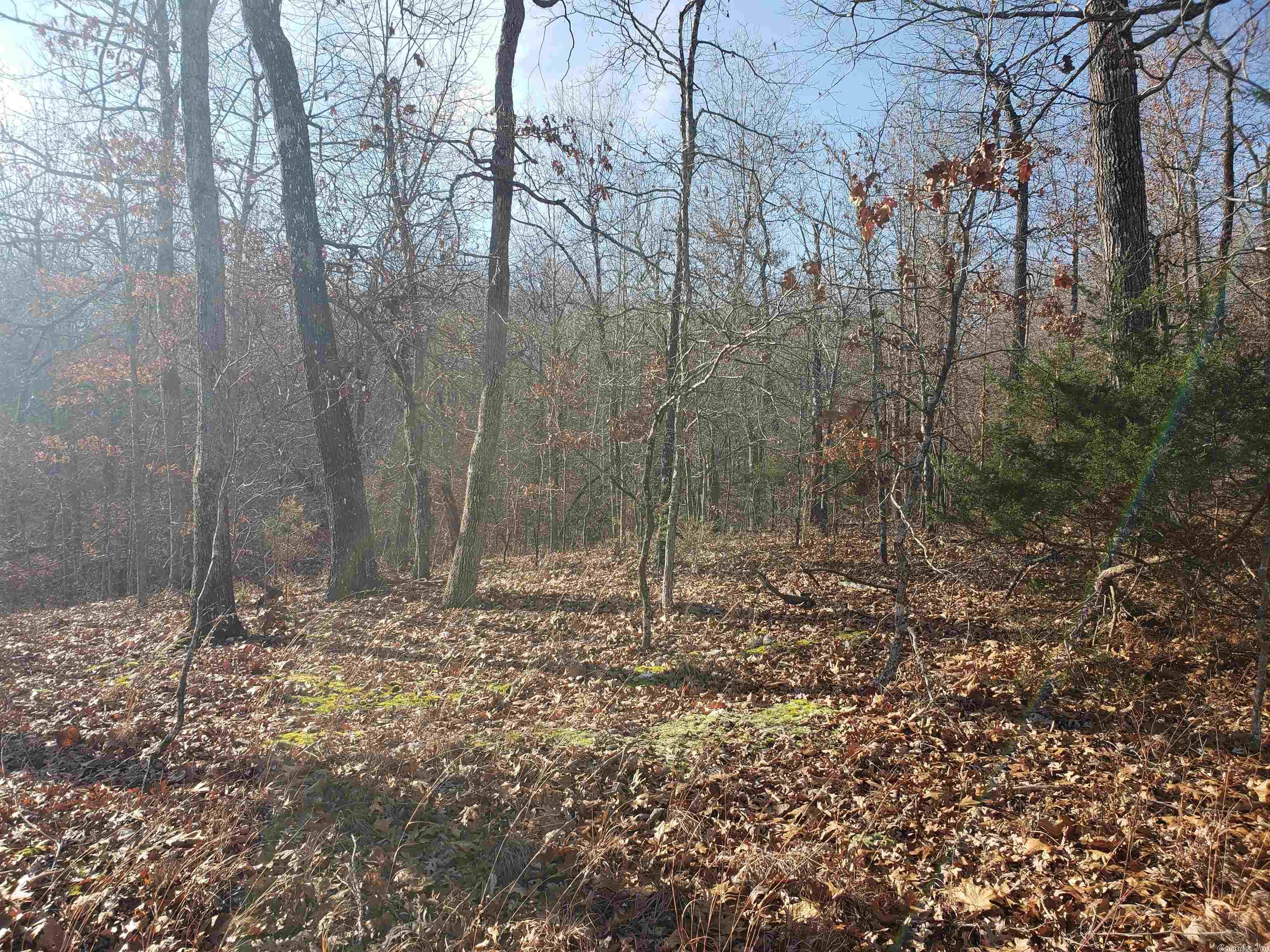 L-61 & 62, B-7 Quenemo Trail Property Photo 8