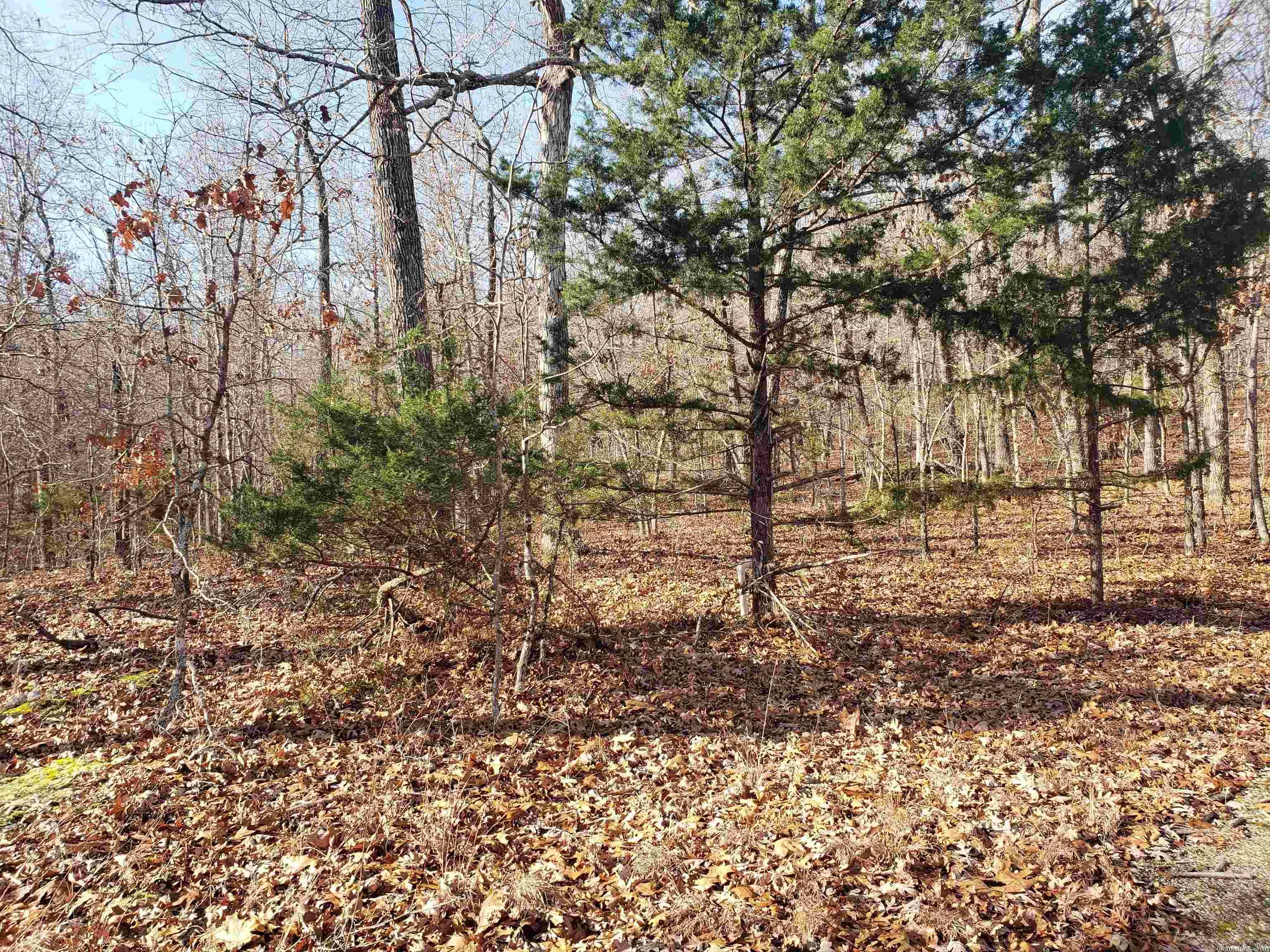 L-61 & 62, B-7 Quenemo Trail Property Photo 9