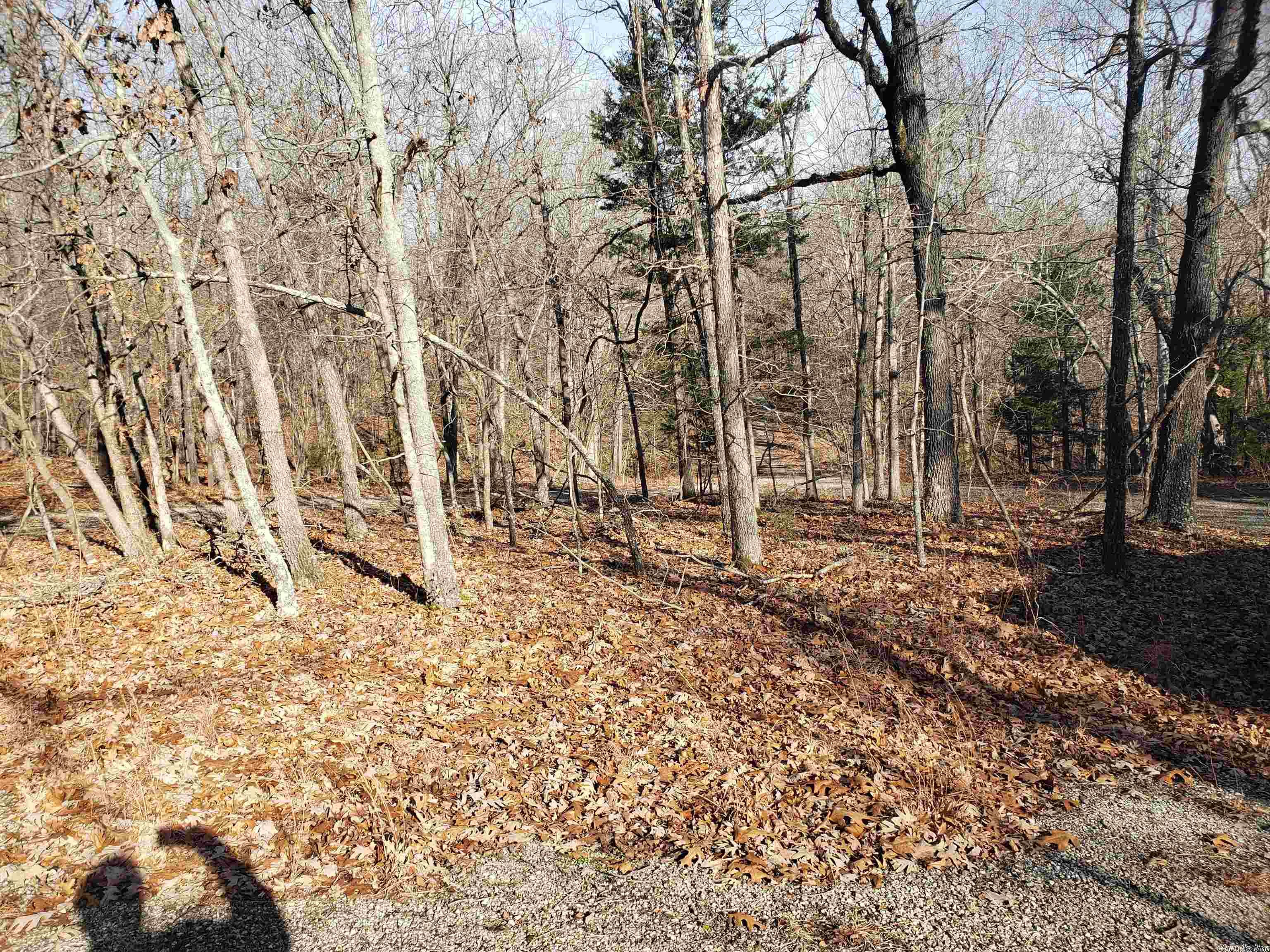 L-61 & 62, B-7 Quenemo Trail Property Photo 10