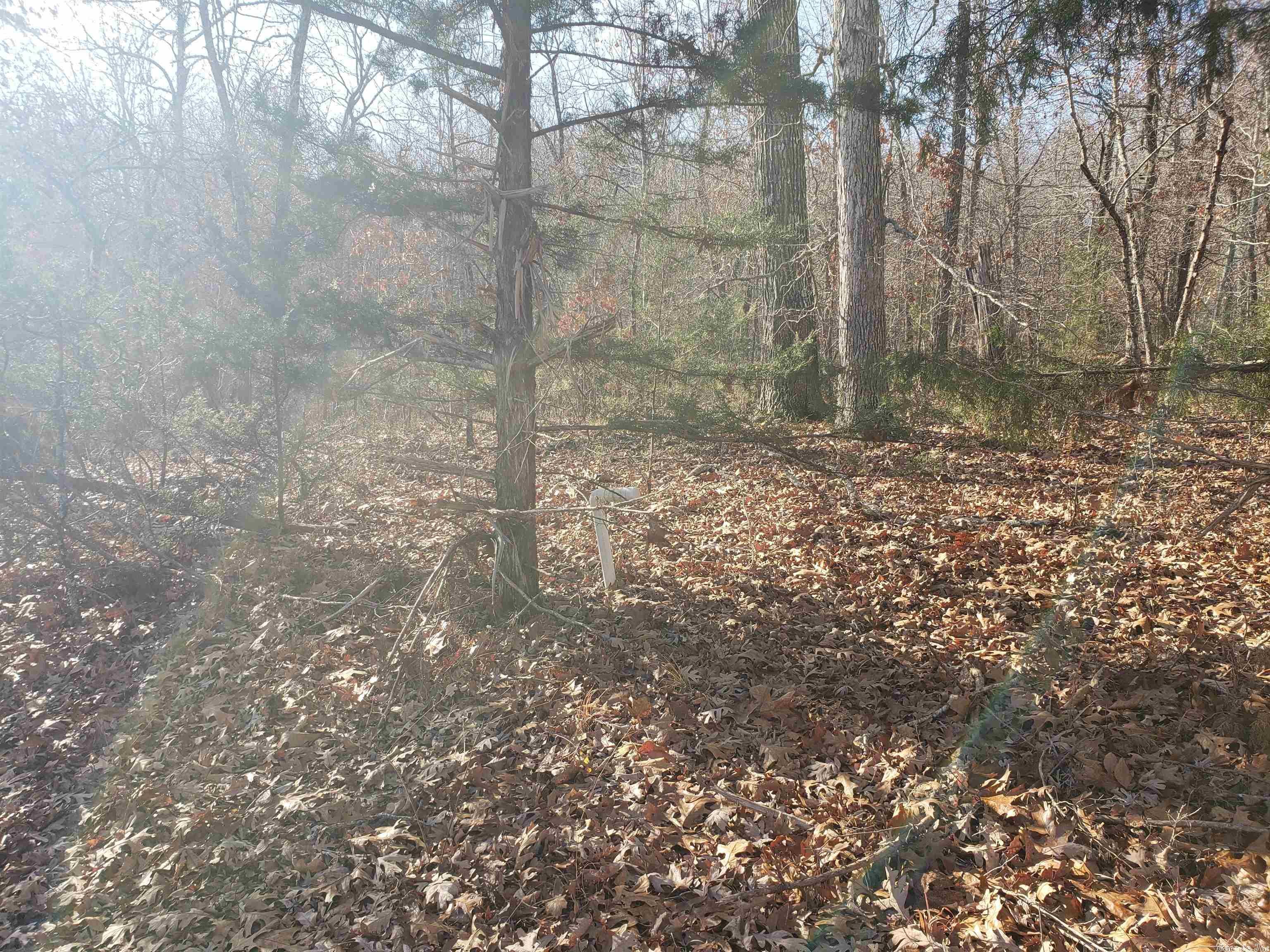 L-61 & 62, B-7 Quenemo Trail Property Photo 11