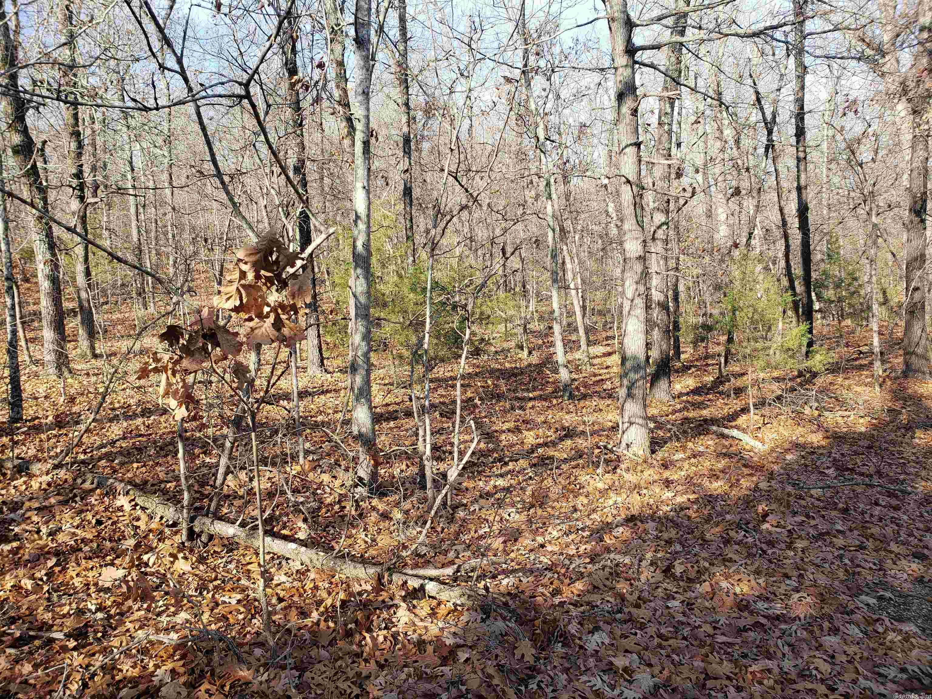 L-61 & 62, B-7 Quenemo Trail Property Photo 12