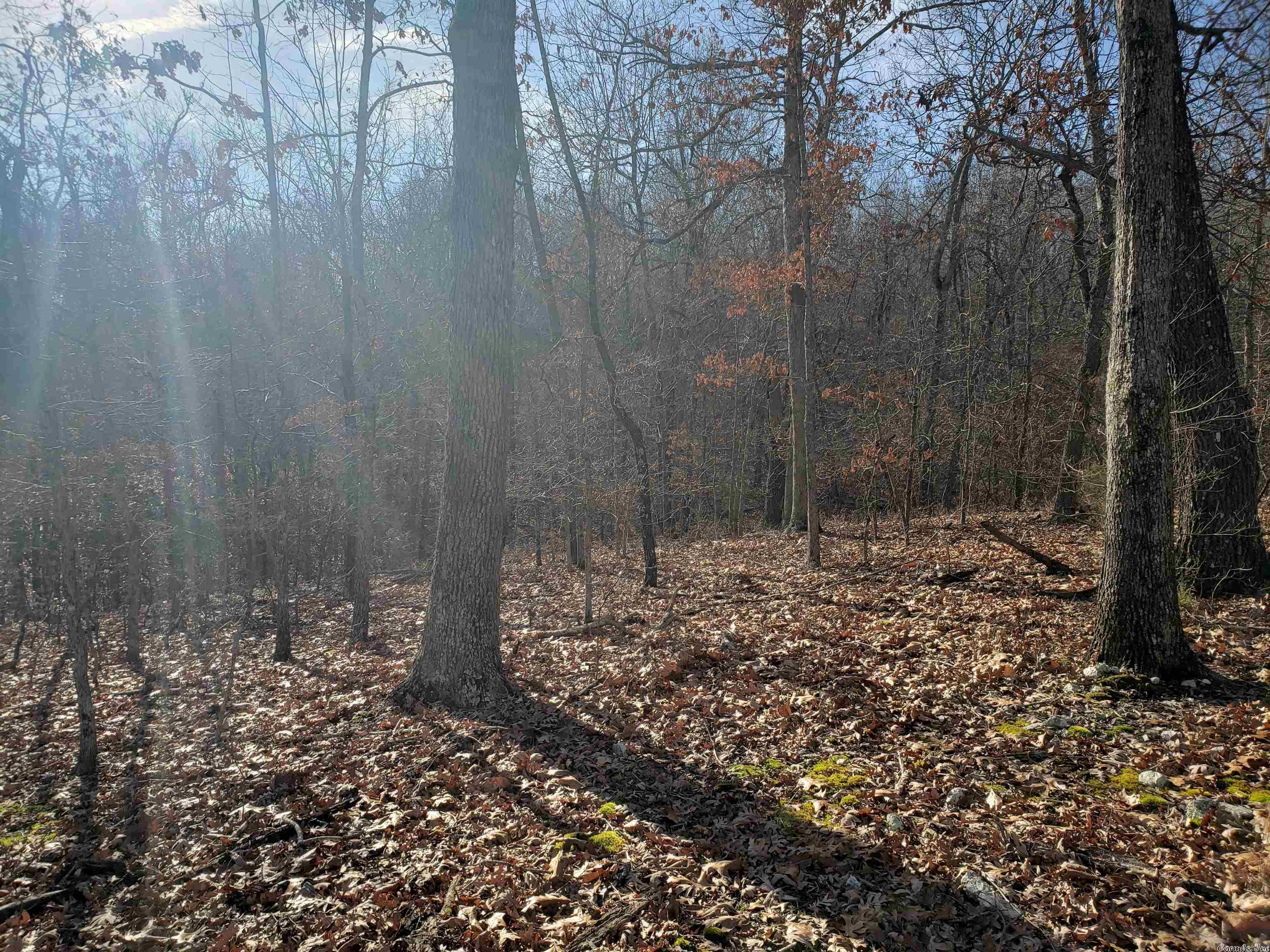 L-61 & 62, B-7 Quenemo Trail Property Photo 13