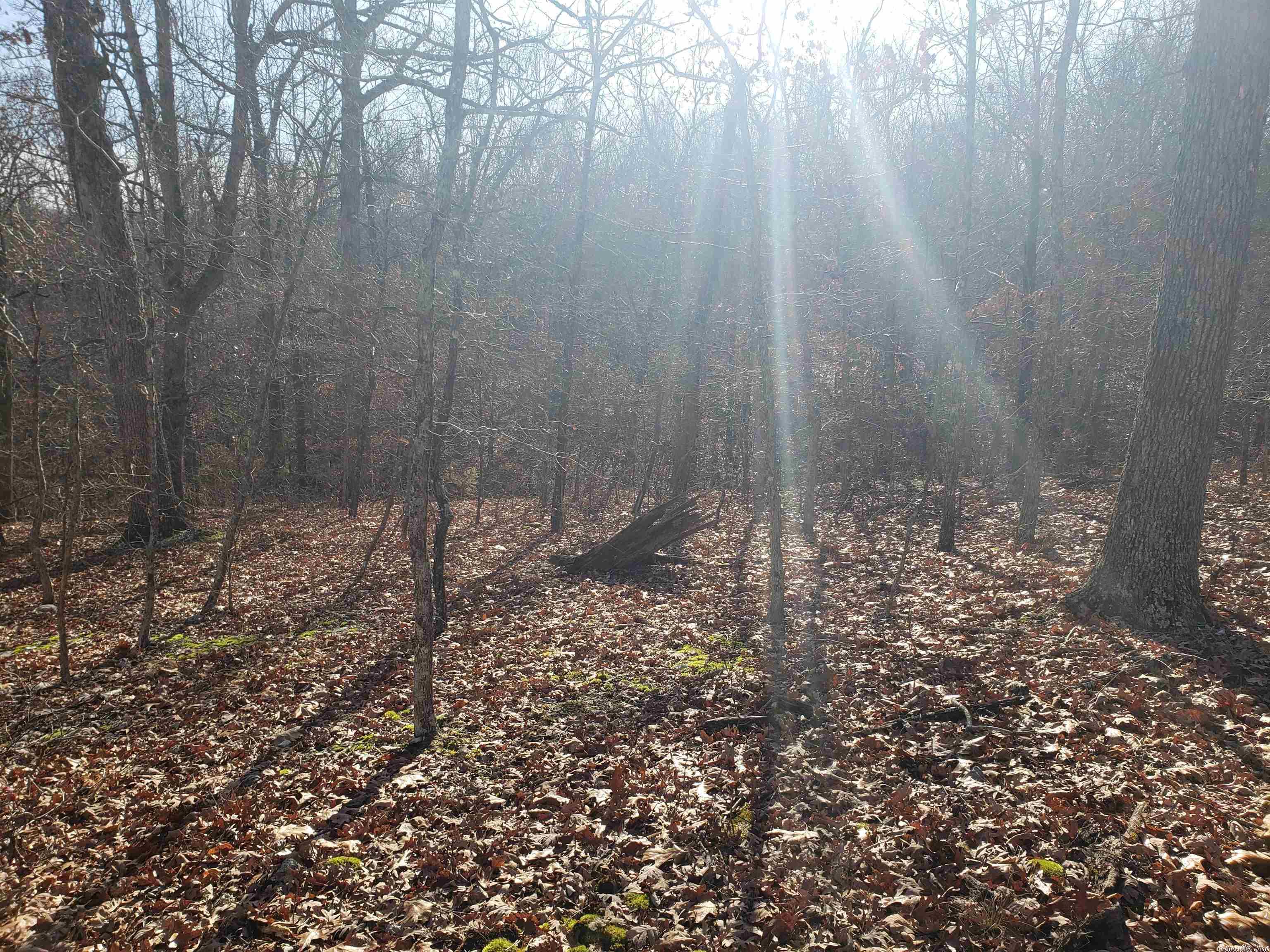 L-61 & 62, B-7 Quenemo Trail Property Photo 14
