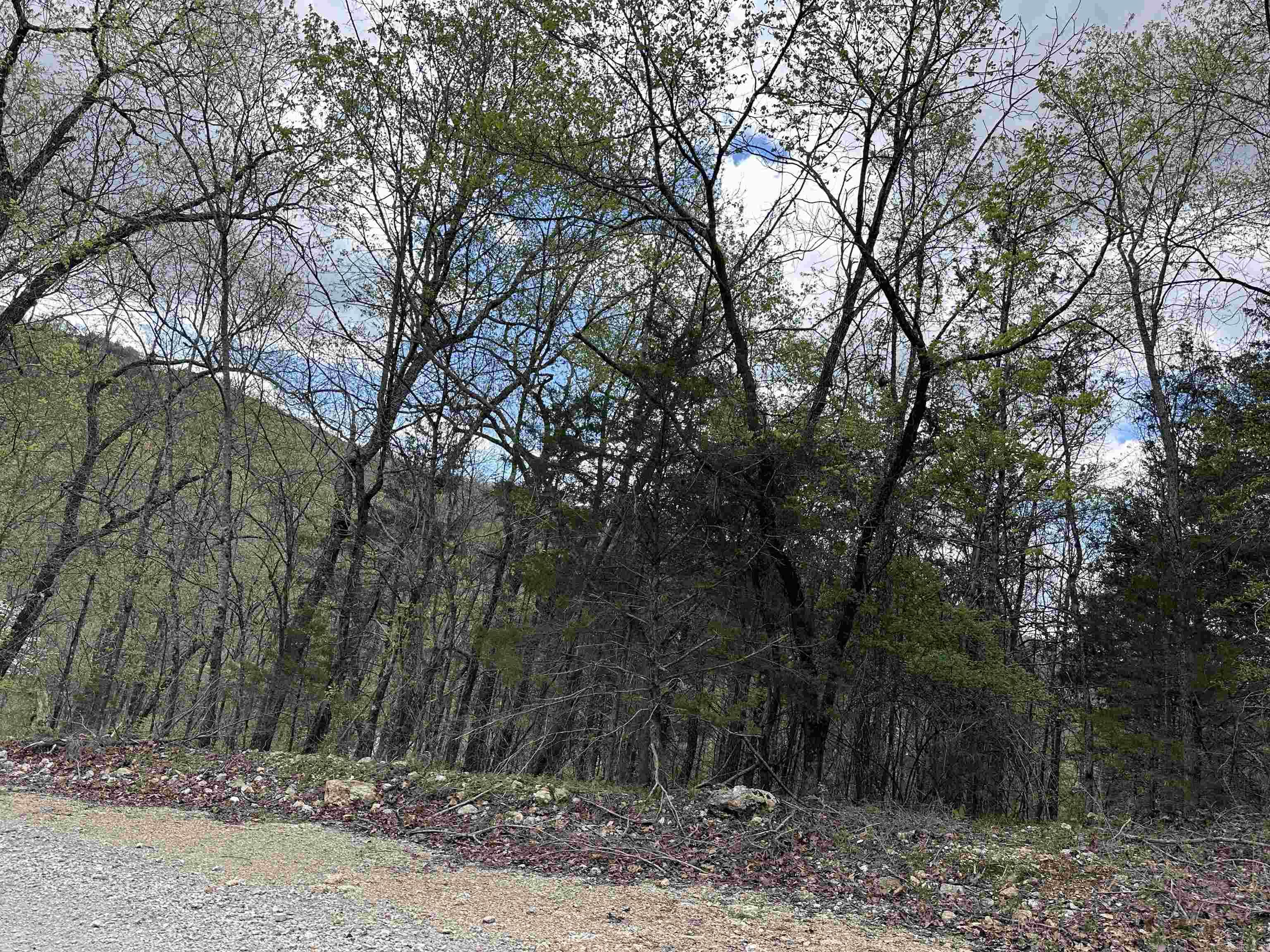 Off Dovewood Lane Property Photo 3
