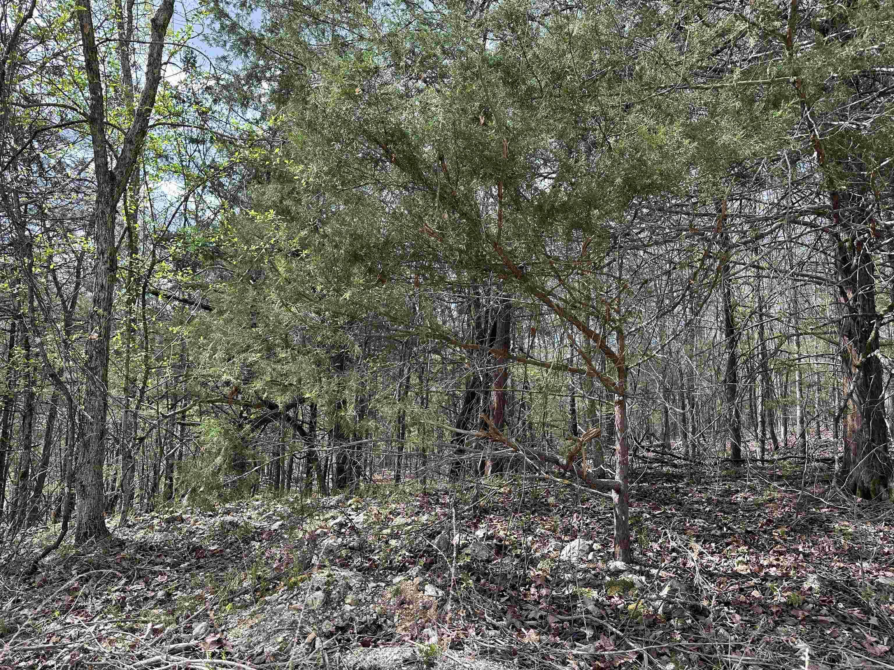Off Dovewood Lane Property Photo 5