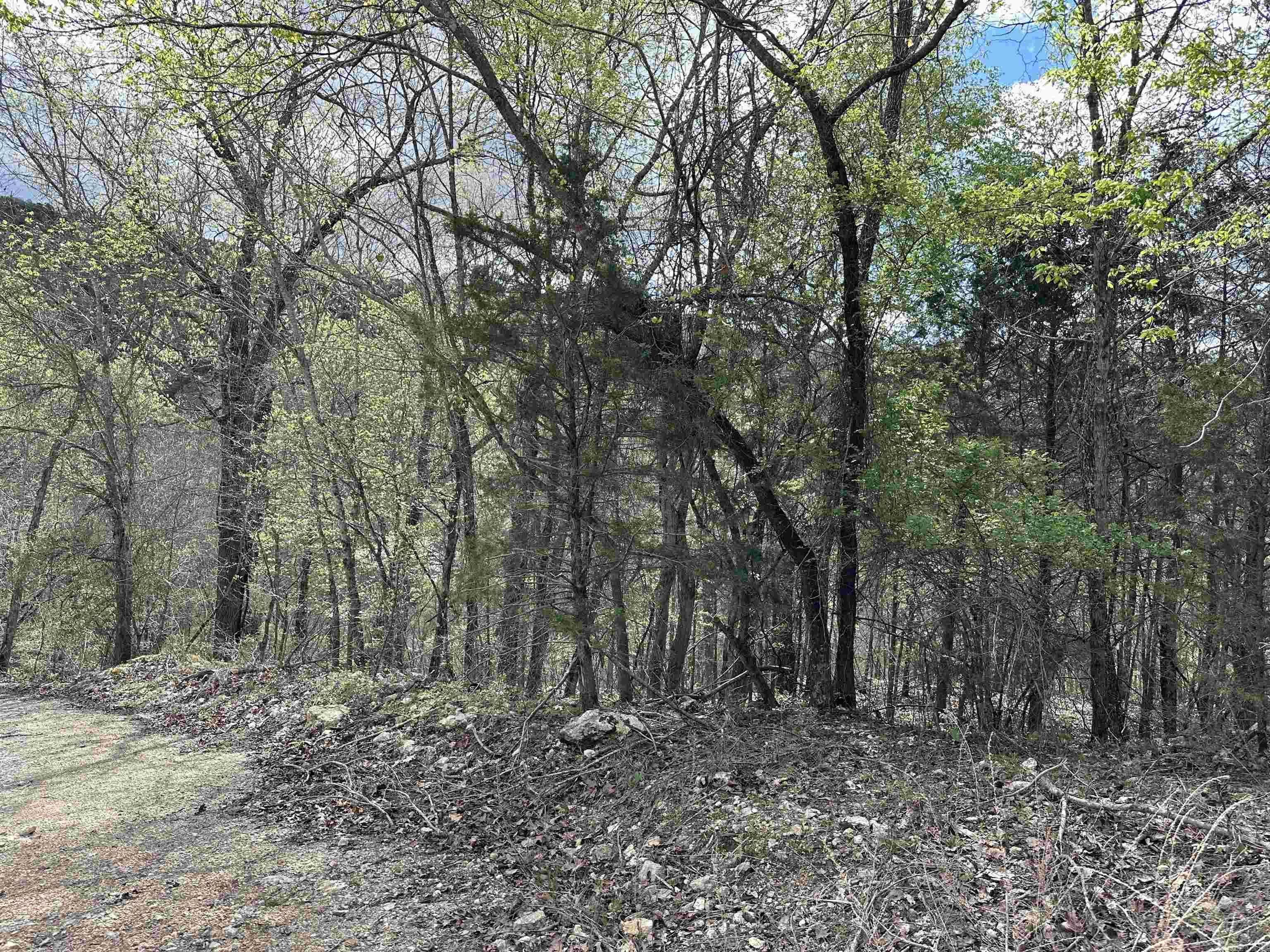 Off Dovewood Lane Property Photo 6
