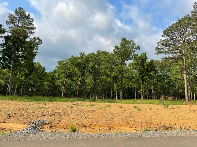 Orchard Hill Lot 5 Ph 3 Property Photo 1