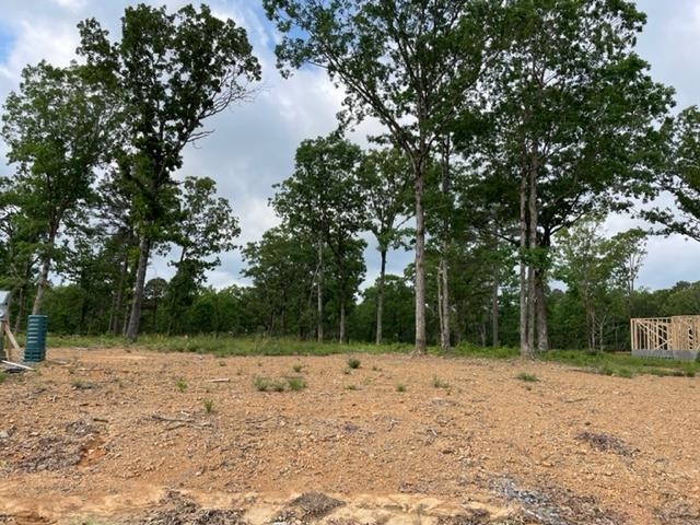 Orchard Hill Lot 4 Ph 3 Property Photo 2