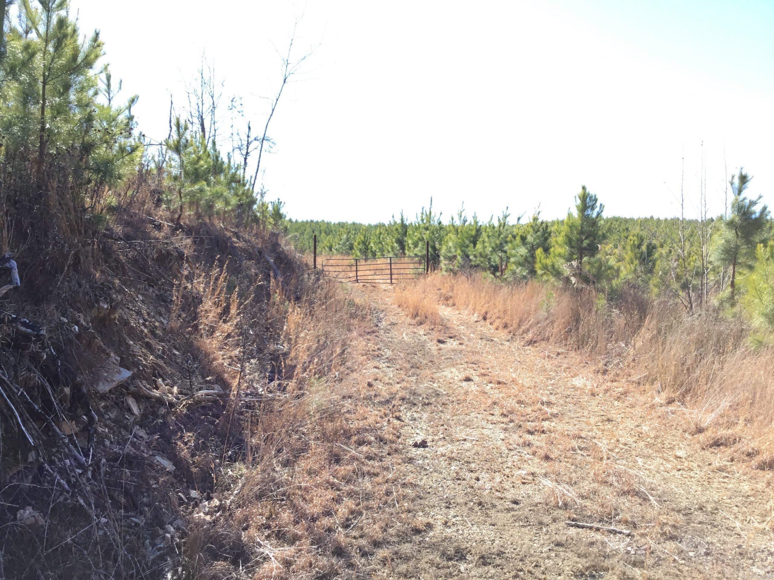 Beaudry Circle Property Photo 4