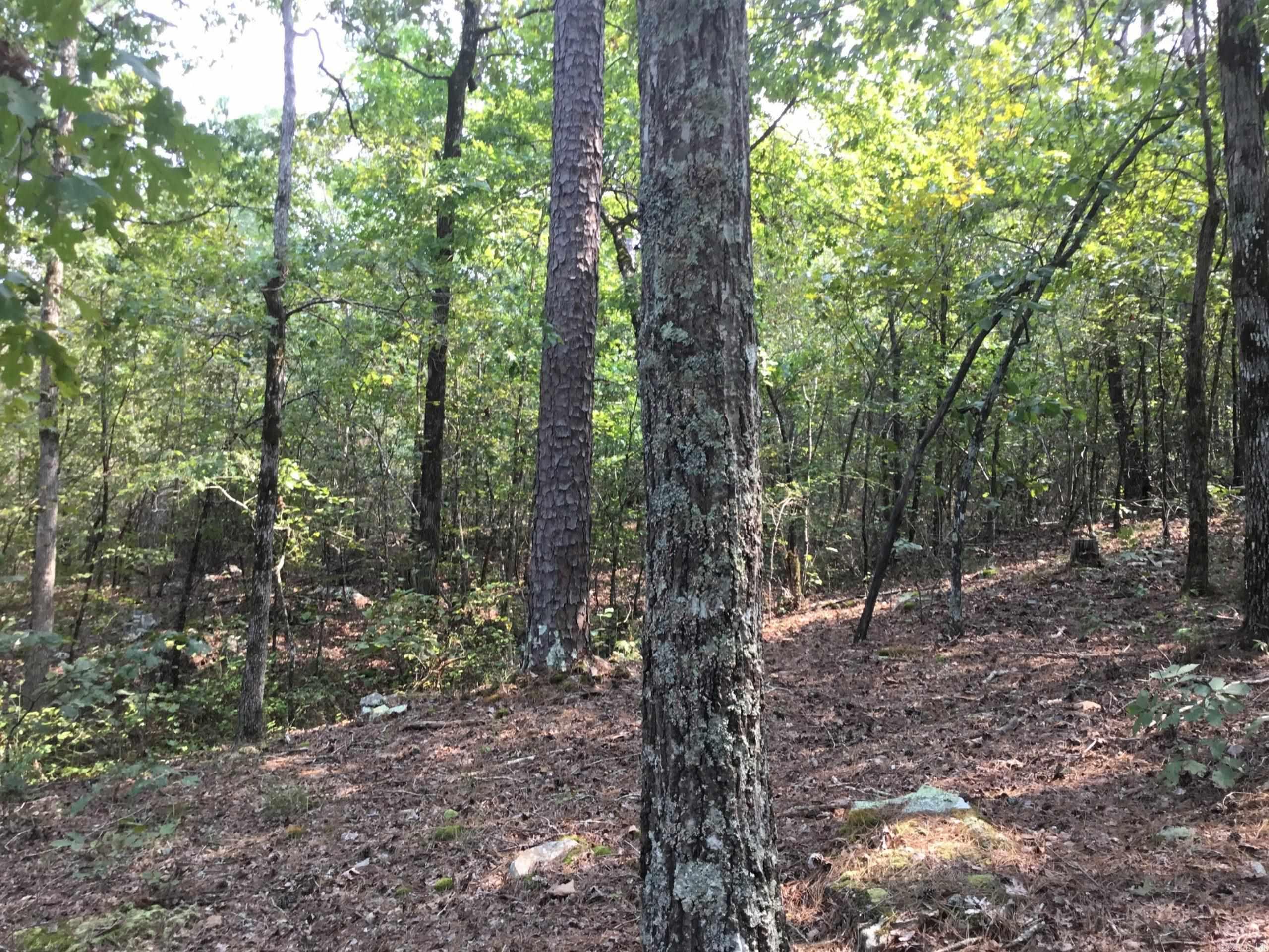 Garrison East Property Photo 10