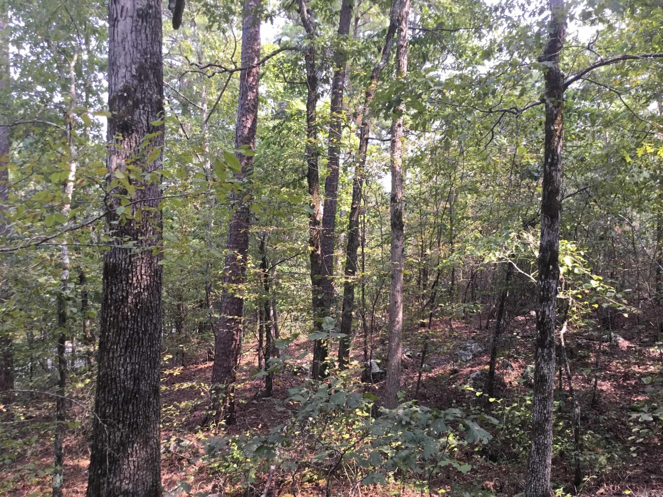Garrison East Property Photo 12