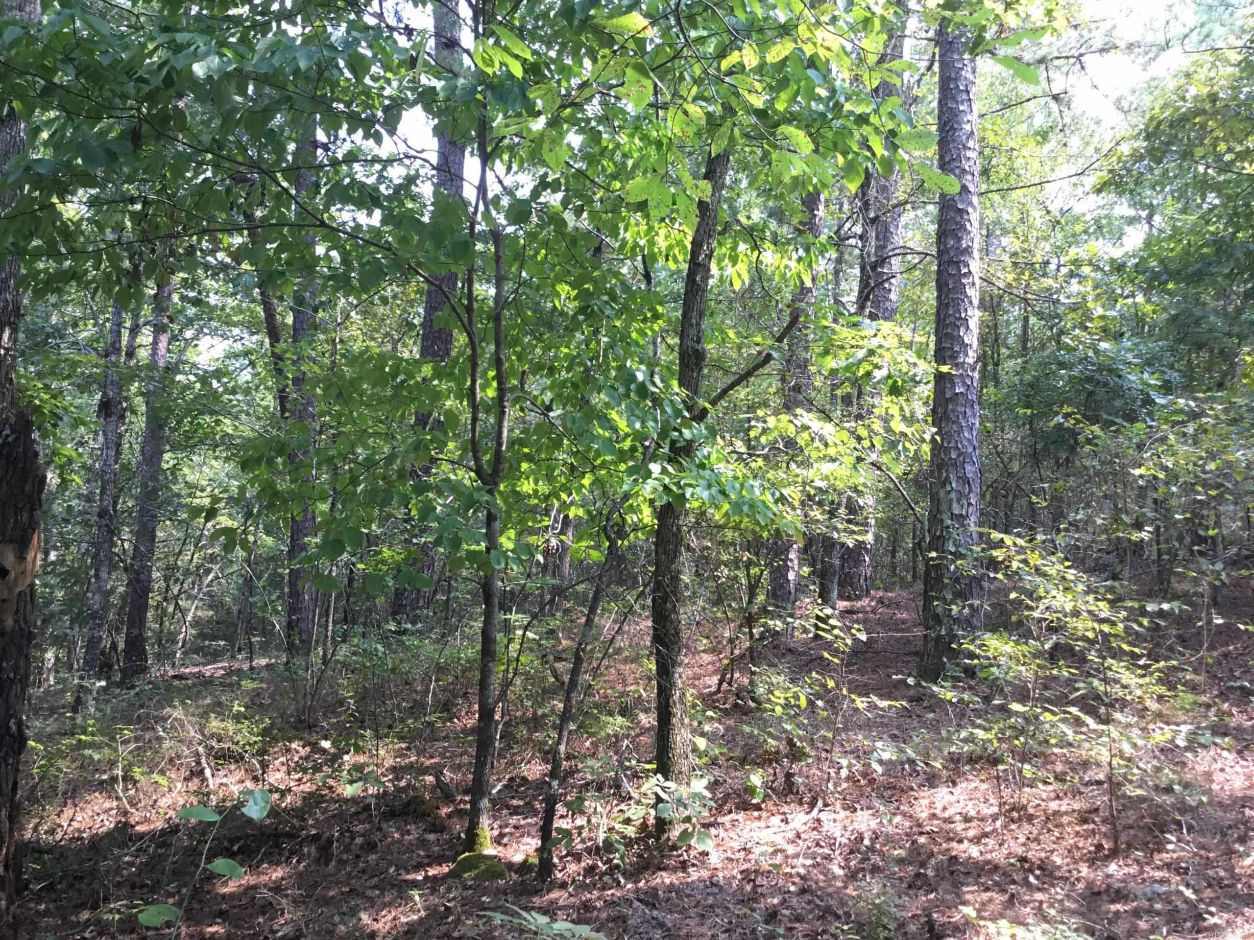 Garrison East Property Photo 13