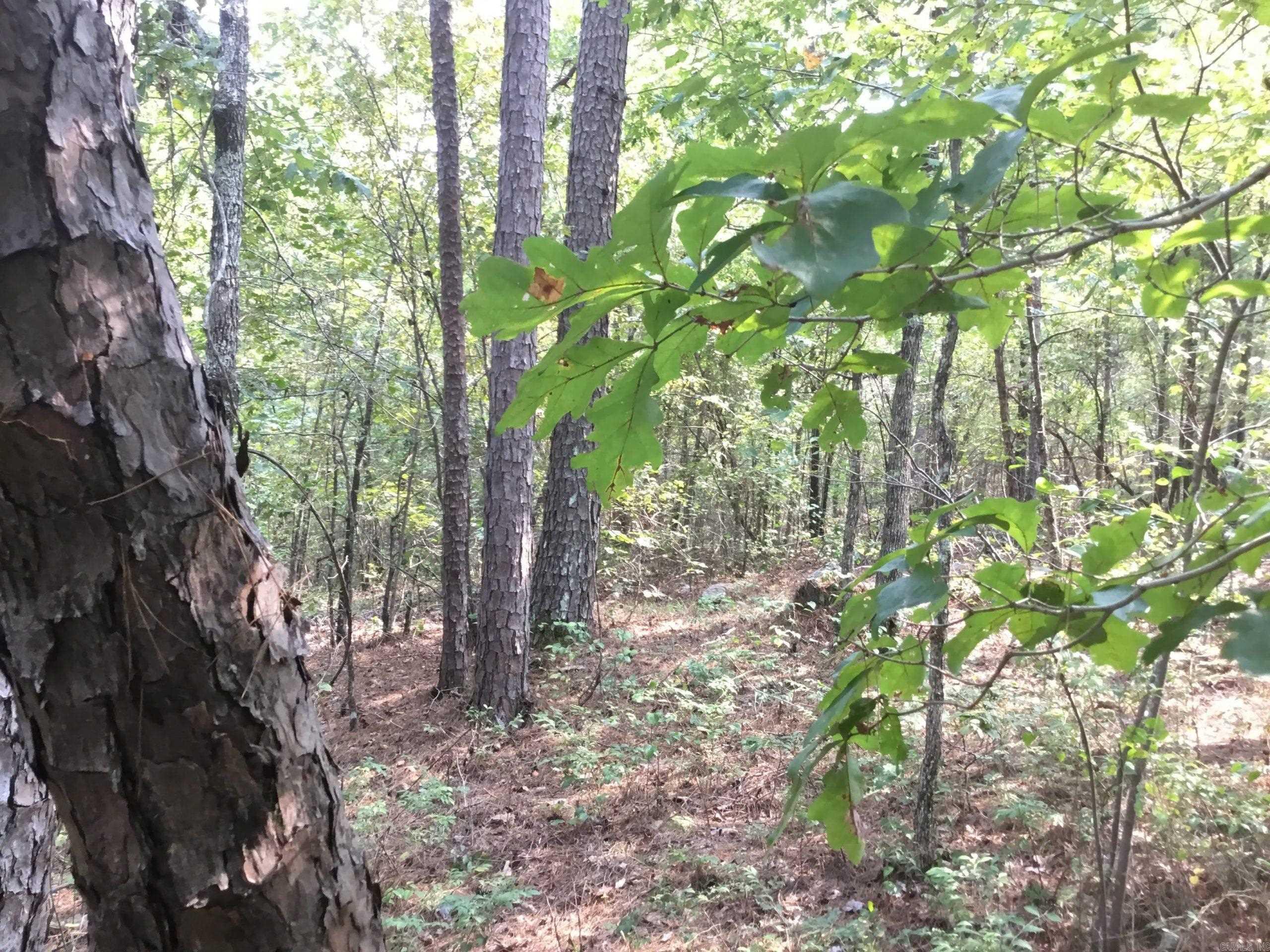 Garrison East Property Photo 14