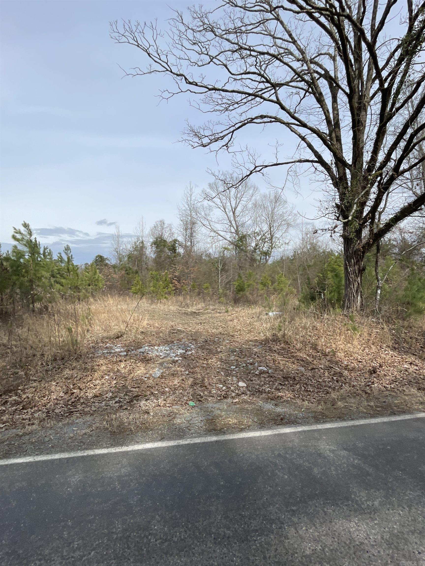 Sorrells Road Property Photo 6