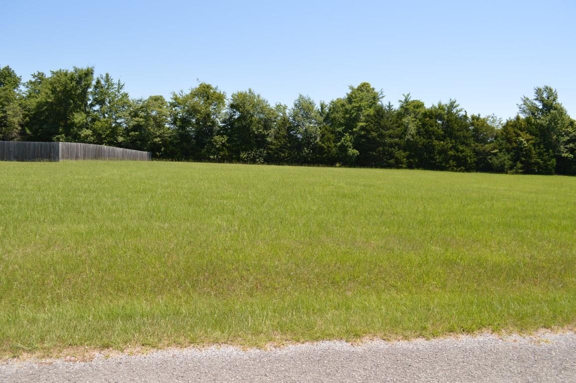 Lot 32 Emerald Lane Property Photo 2