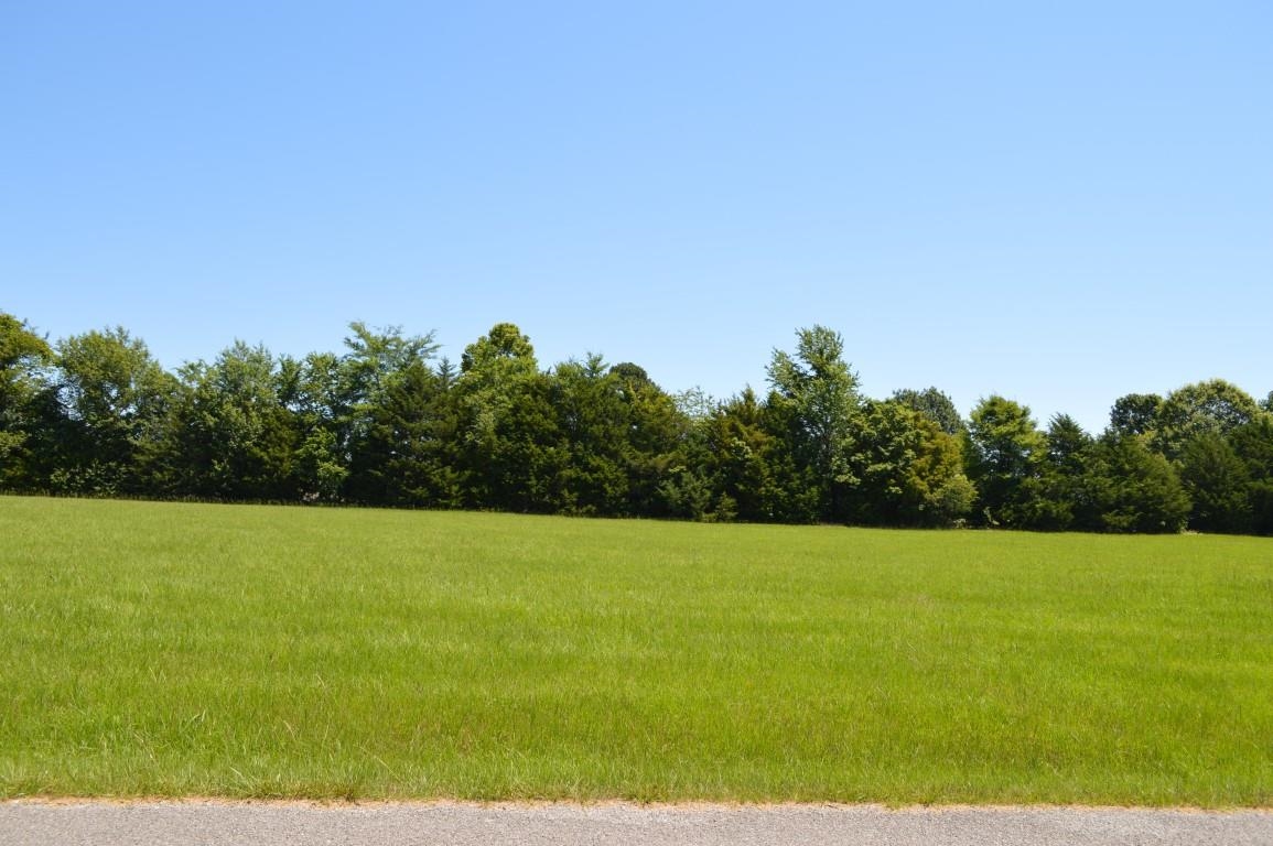 Lot 34 Emerald Lane Property Photo 4