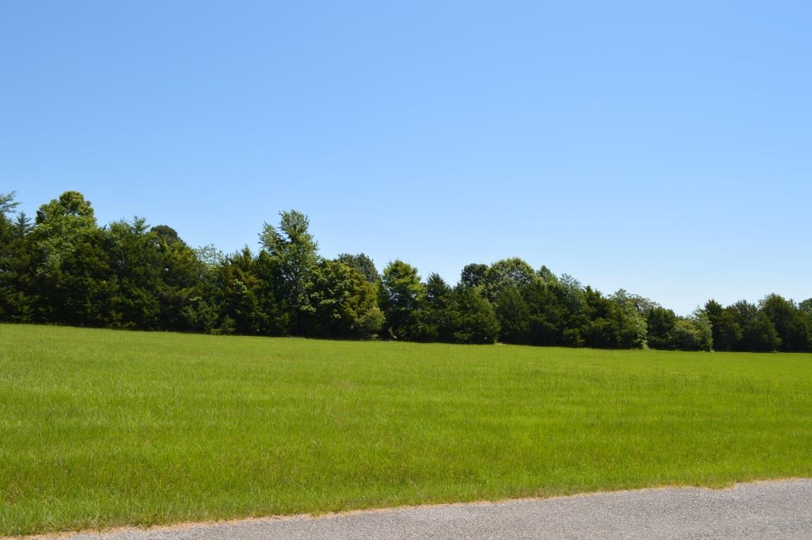 Lot 34 Emerald Lane Property Photo 5