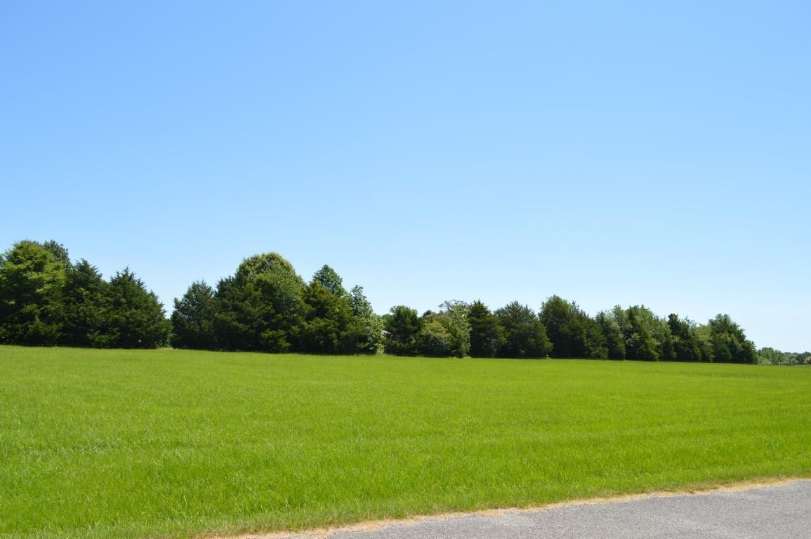 Lot 34 Emerald Lane Property Photo 7
