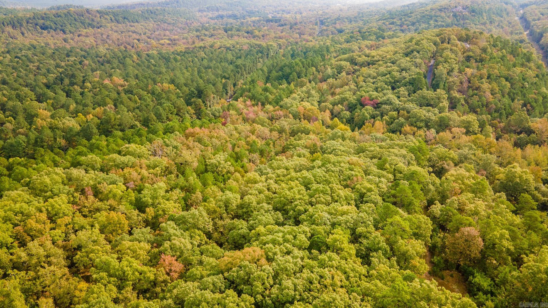 Bandy South East Property Photo 9