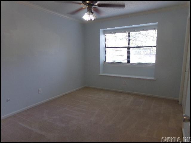 1411 Old Forge Drive Property Photo 13