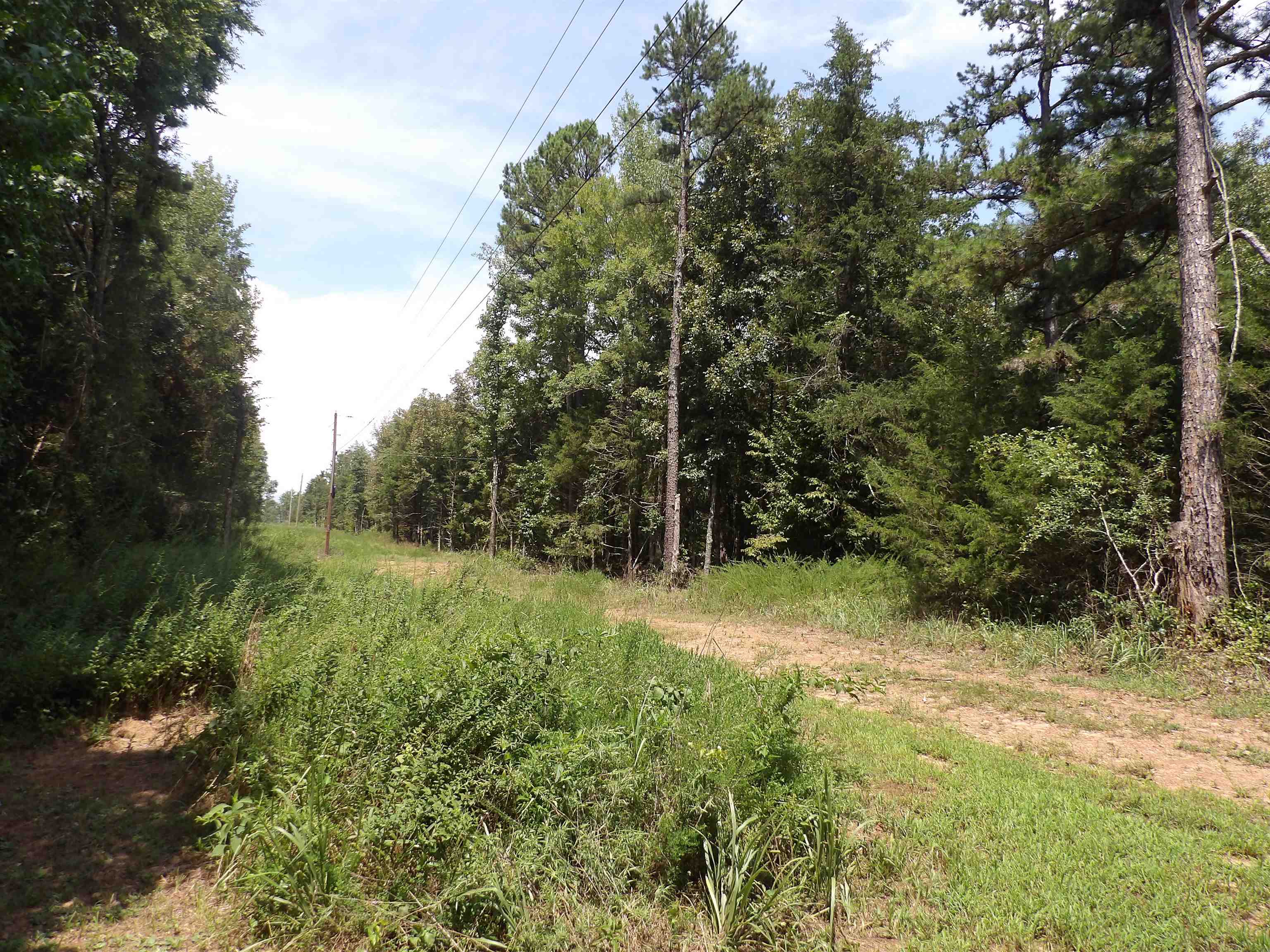 1608 County Road 3594 Property Photo 1
