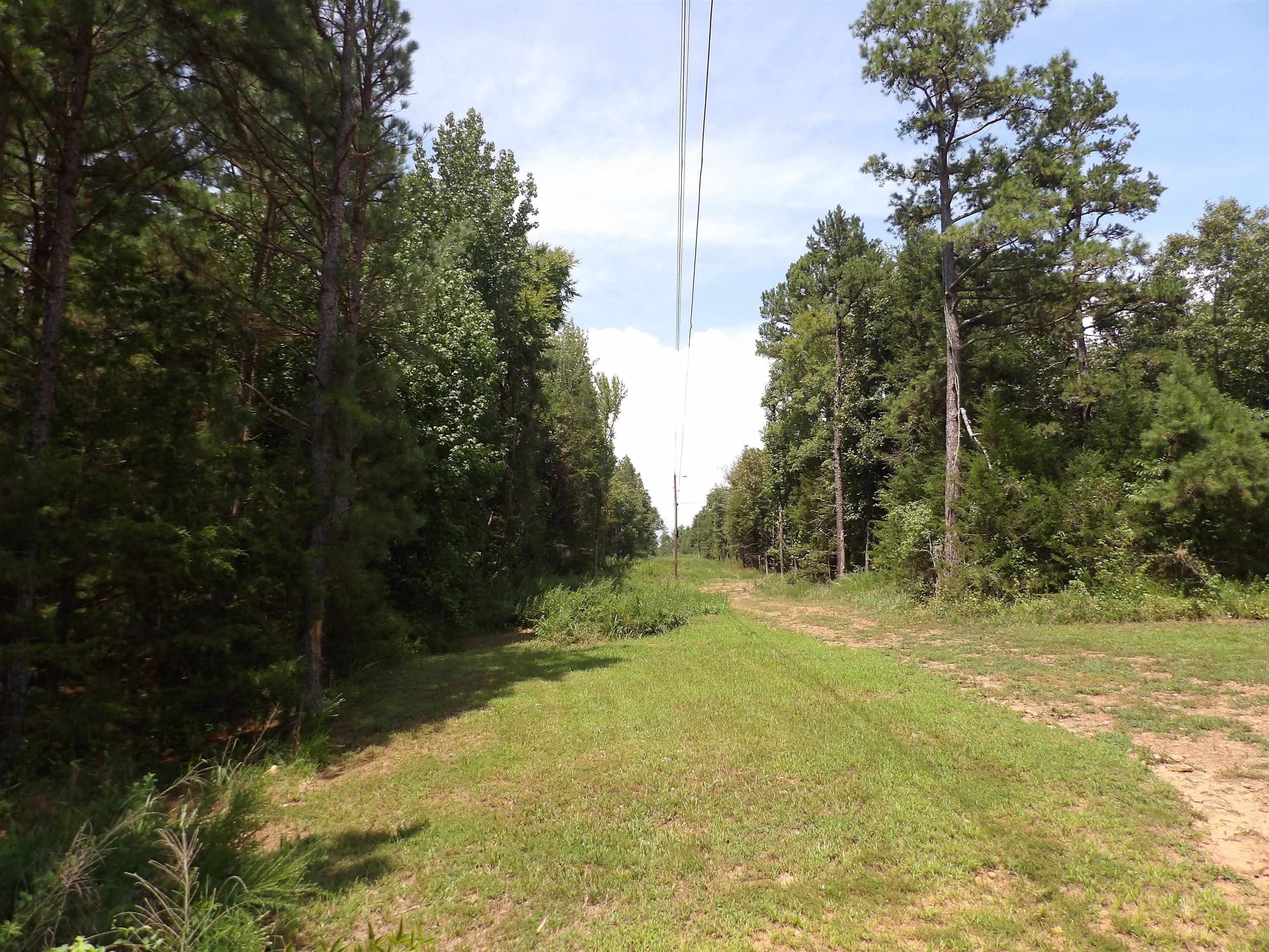 1608 County Road 3594 Property Photo 20
