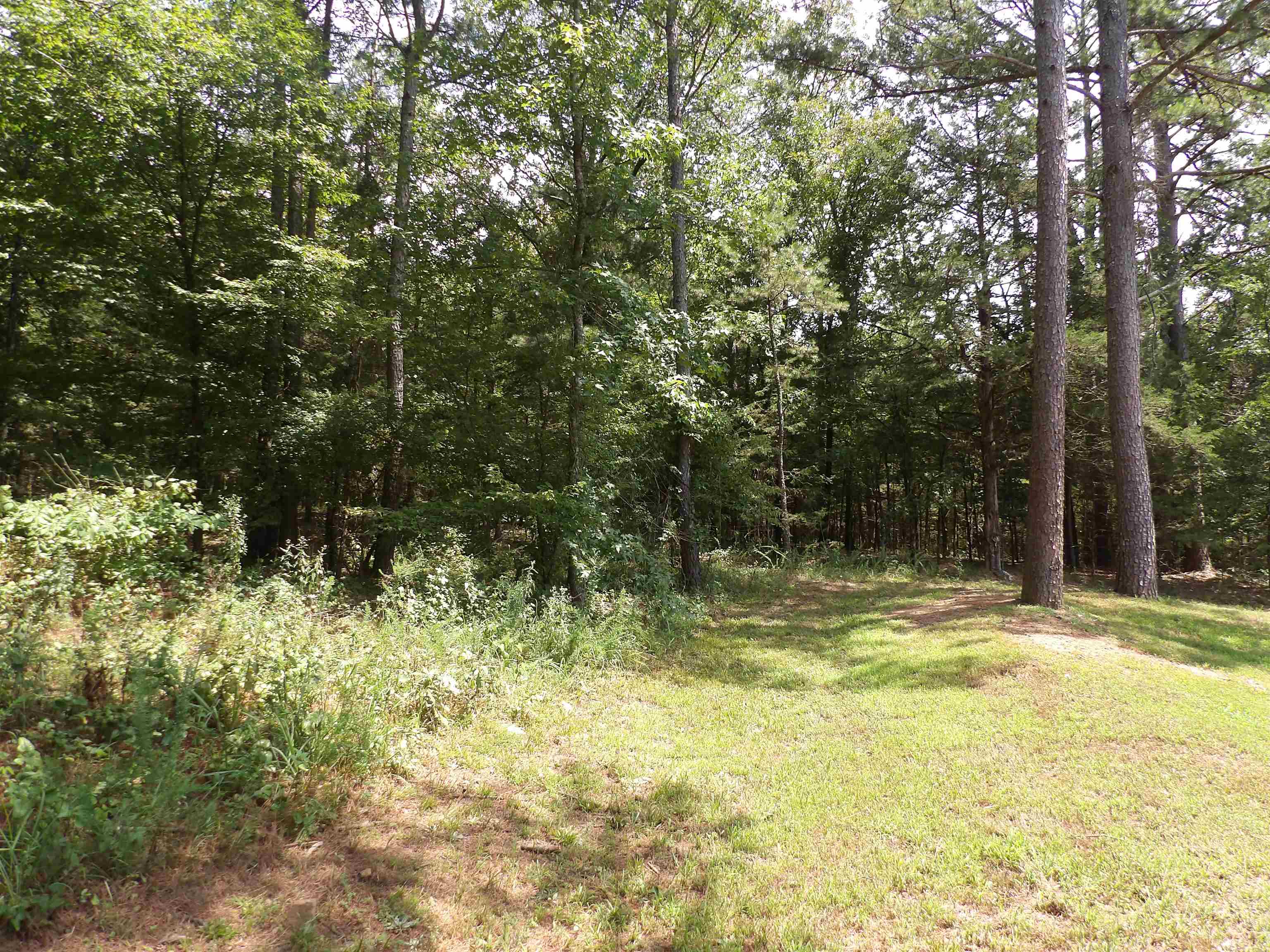 1608 County Road 3594 Property Photo 32